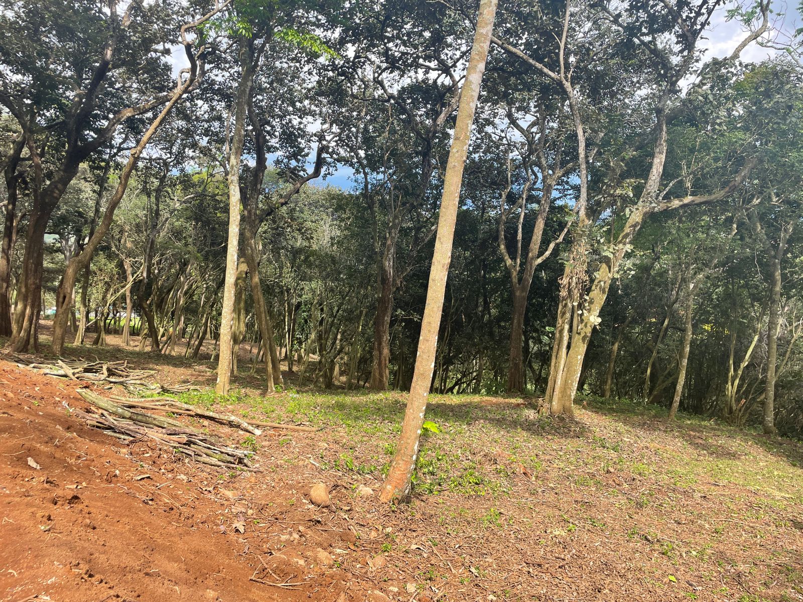 0 bed Land For Sale in Atenas, Alajuela - thumb 9