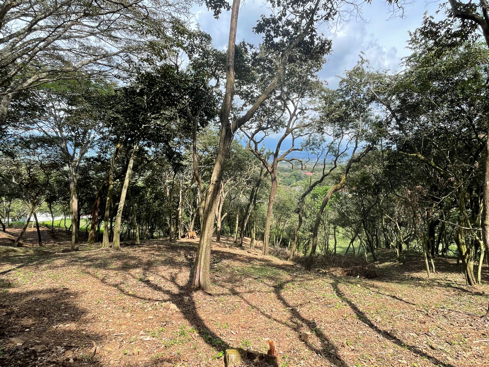 0 bed Land For Sale in Atenas, Alajuela - thumb 8