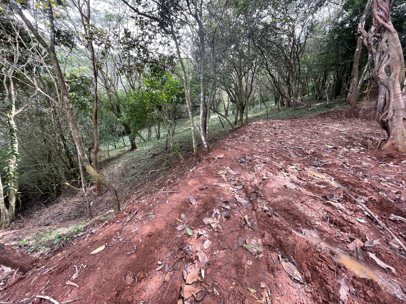 0 bed Land For Sale in Atenas, Alajuela - thumb 11