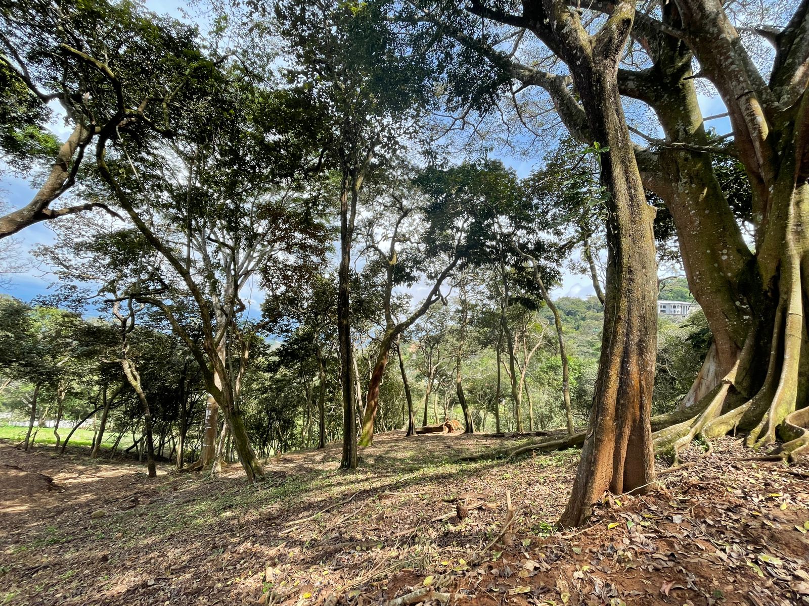0 bed Land For Sale in Atenas, Alajuela - thumb 4
