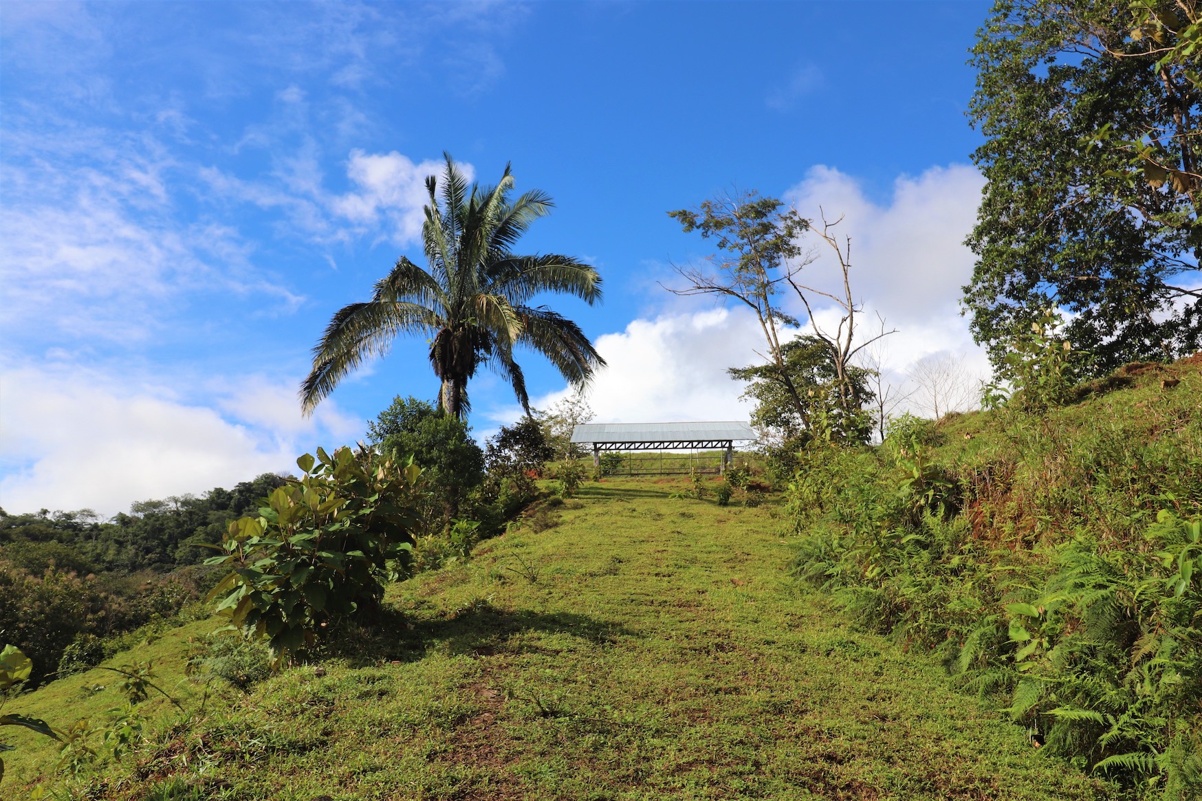 0 bed Land For Sale in Ojochal, Puntarenas - thumb 13