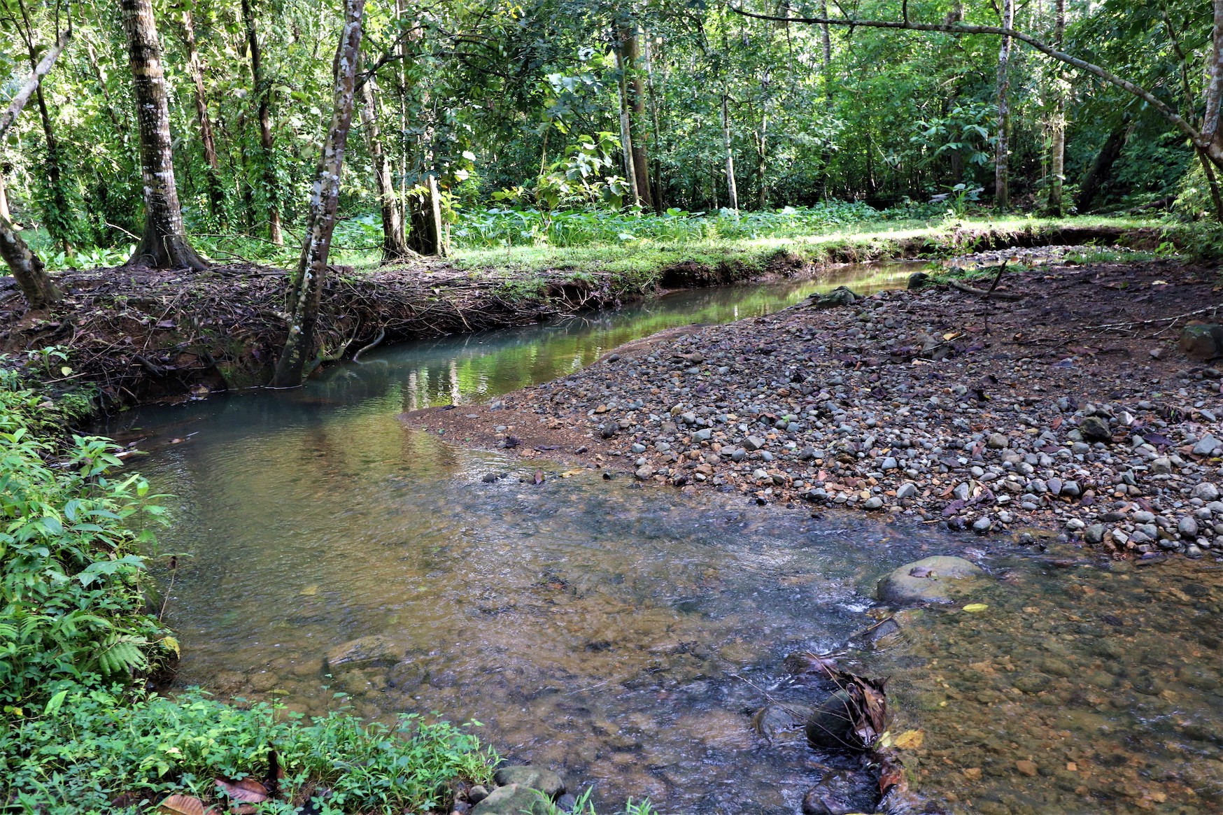 0 bed Land For Sale in Ojochal, Puntarenas - thumb 19