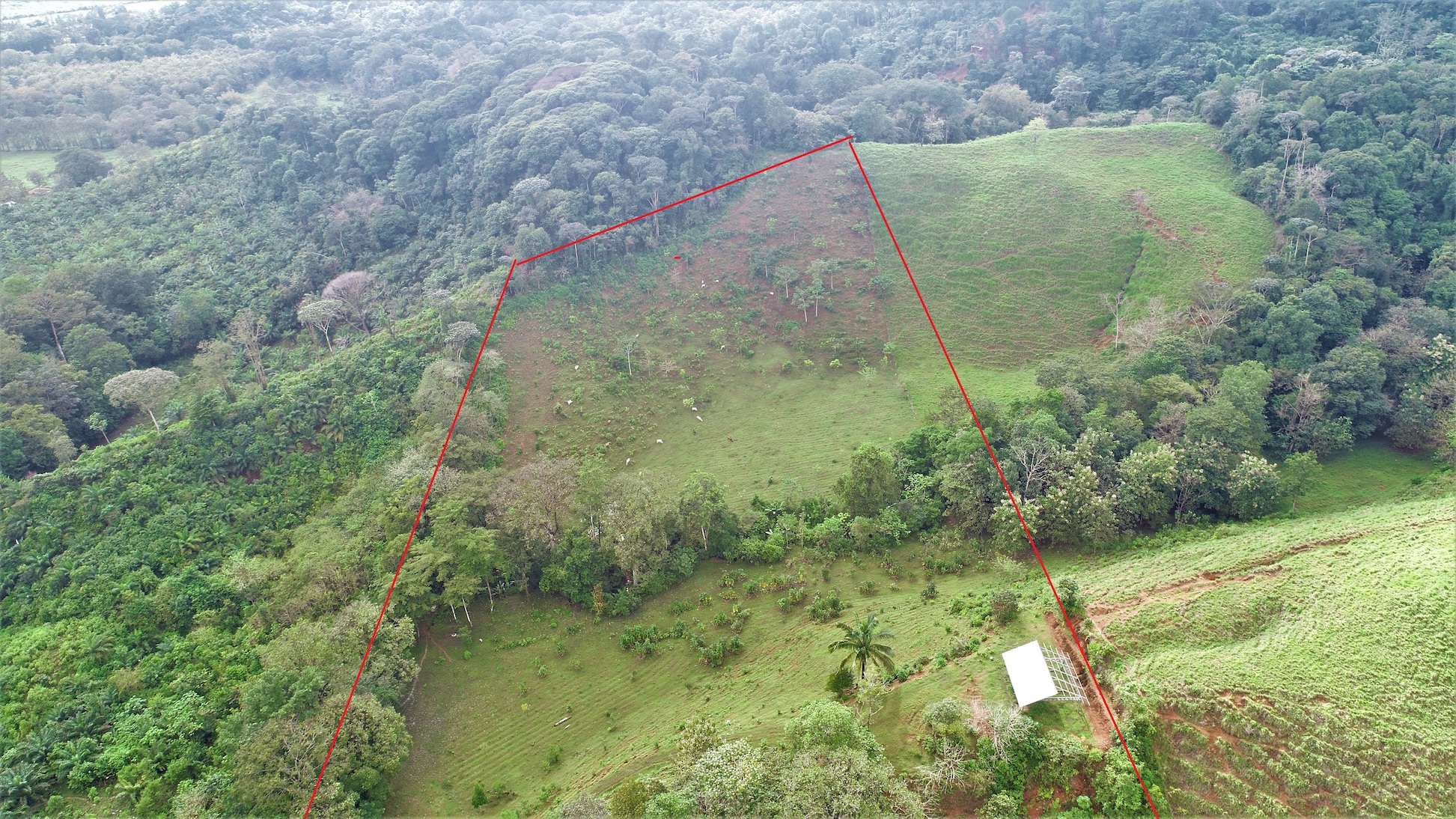 0 bed Land For Sale in Ojochal, Puntarenas - thumb 1