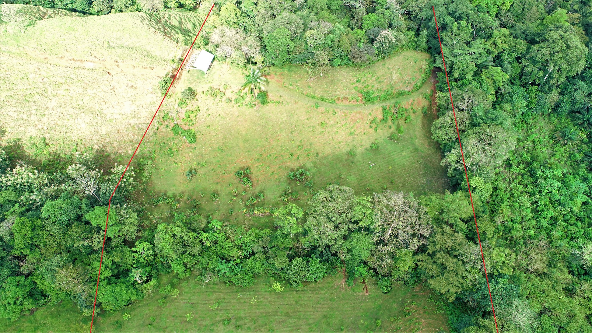 0 bed Land For Sale in Ojochal, Puntarenas - thumb 6