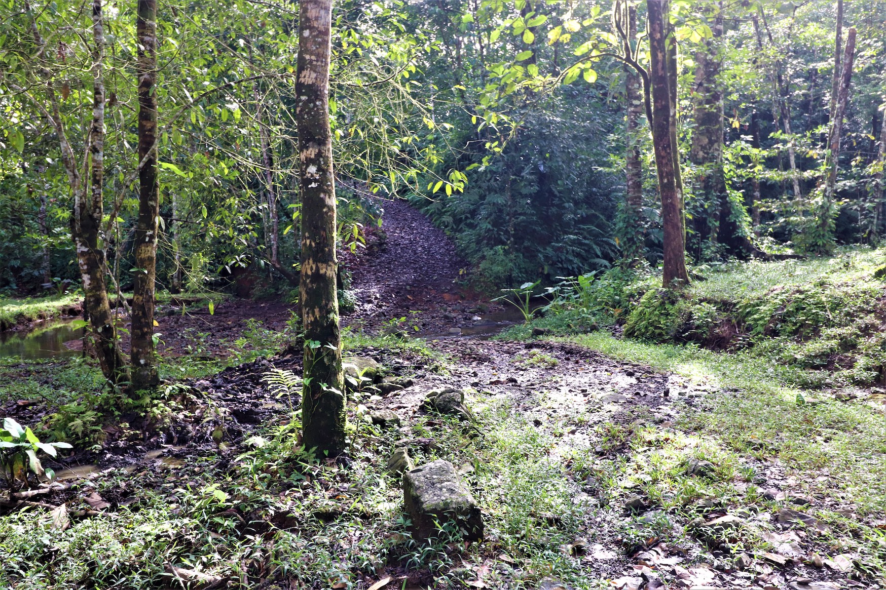 0 bed Land For Sale in Ojochal, Puntarenas - thumb 16