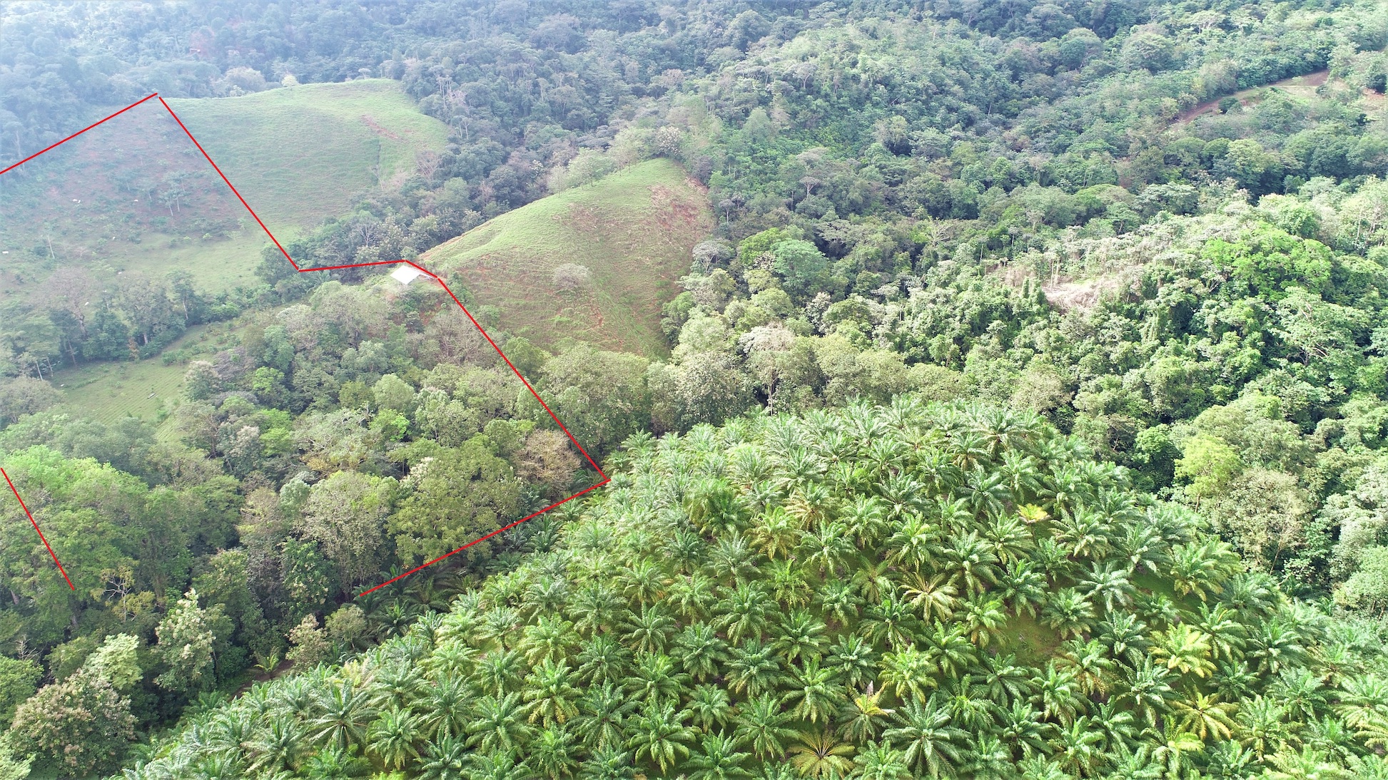 0 bed Land For Sale in Ojochal, Puntarenas - thumb 4