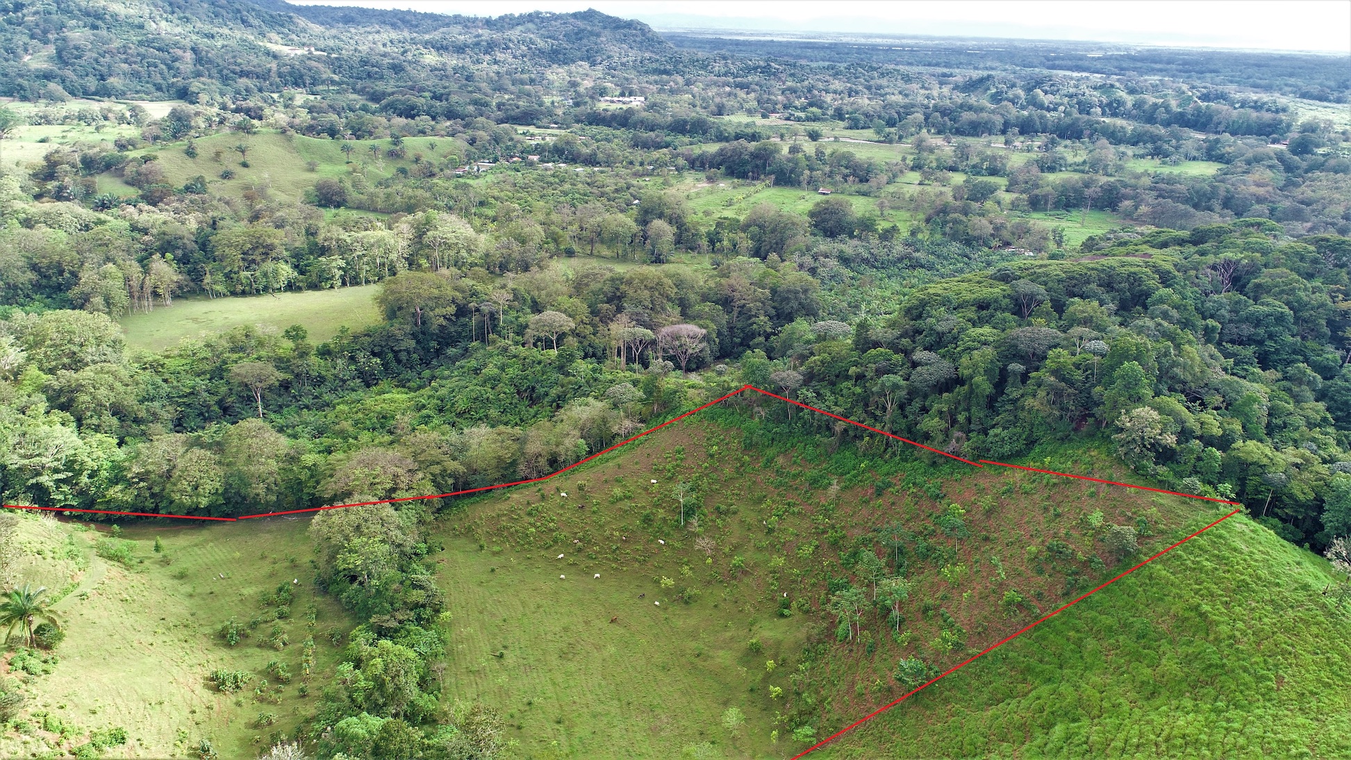 0 bed Land For Sale in Ojochal, Puntarenas - thumb 9