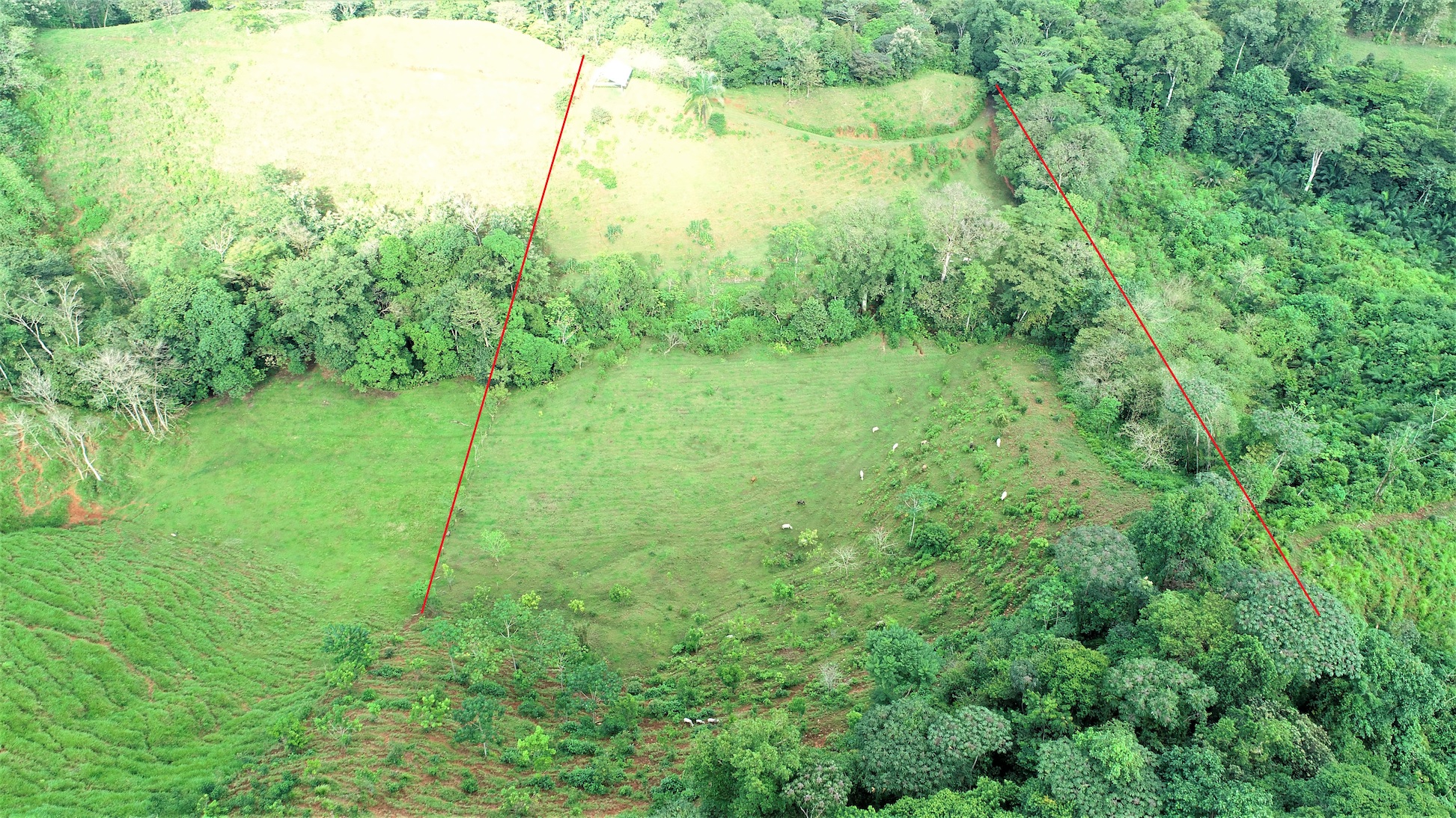 0 bed Land For Sale in Ojochal, Puntarenas - thumb 3