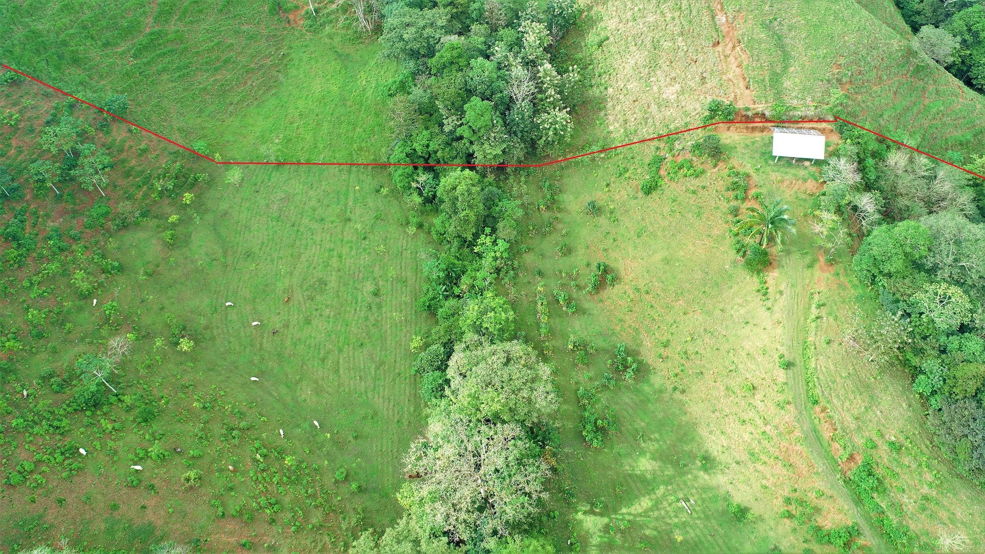 0 bed Land For Sale in Ojochal, Puntarenas - thumb 11