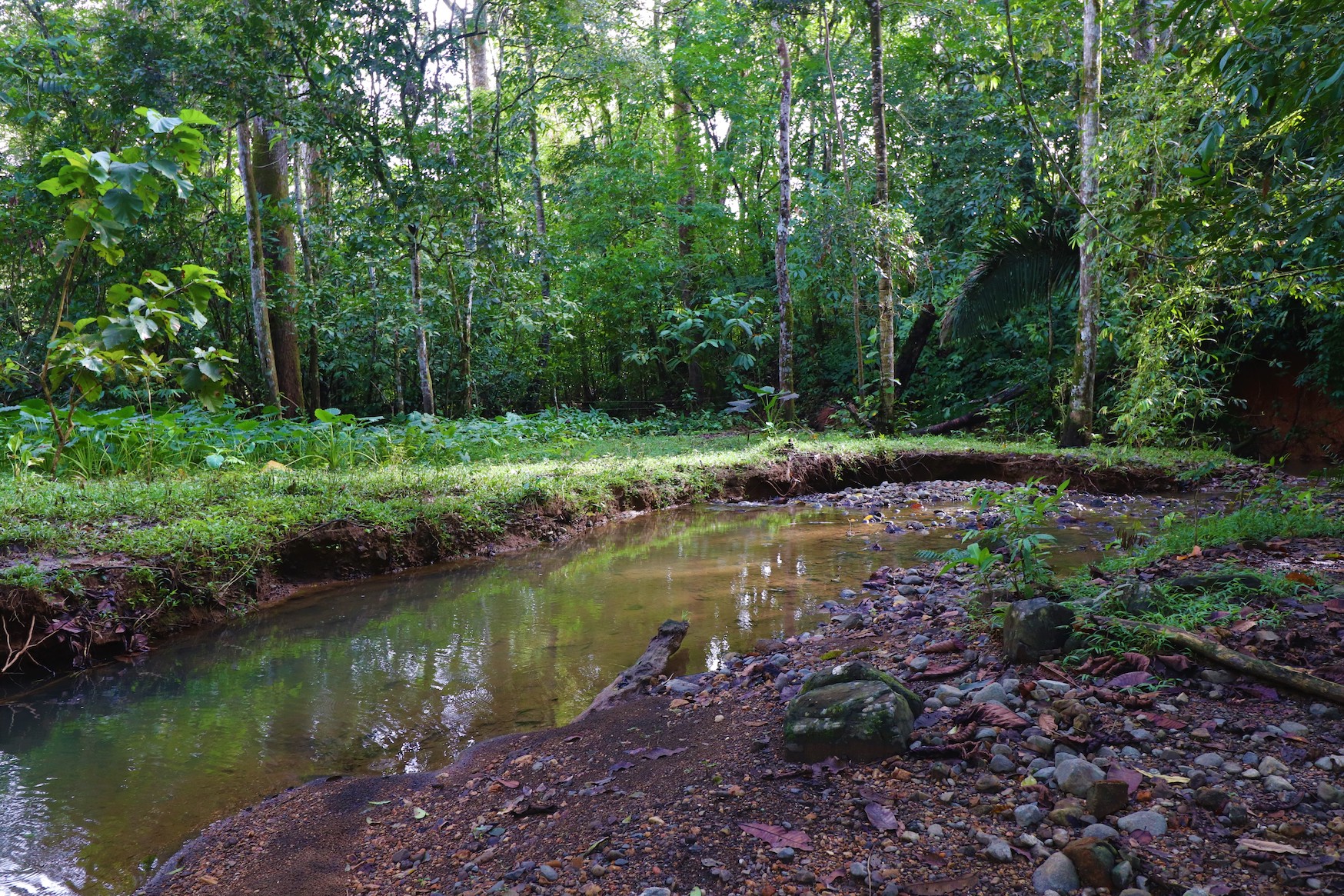 0 bed Land For Sale in Ojochal, Puntarenas - thumb 18