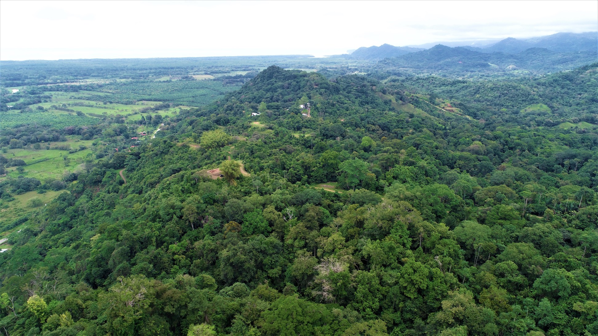 0 bed Land For Sale in Ciudad Cortes, Puntarenas - thumb 10