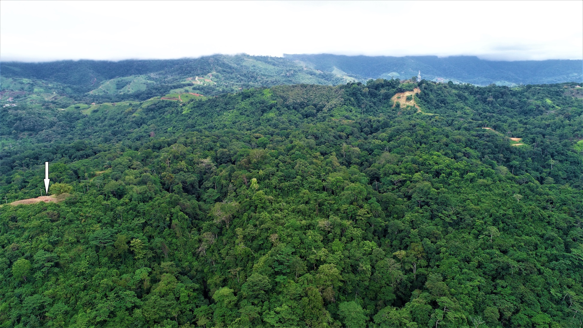 0 bed Land For Sale in Ciudad Cortes, Puntarenas - thumb 13