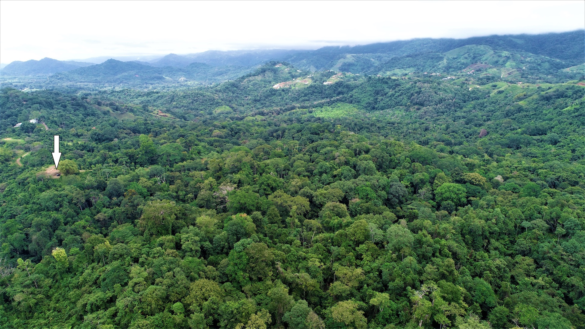 0 bed Land For Sale in Ciudad Cortes, Puntarenas - thumb 11