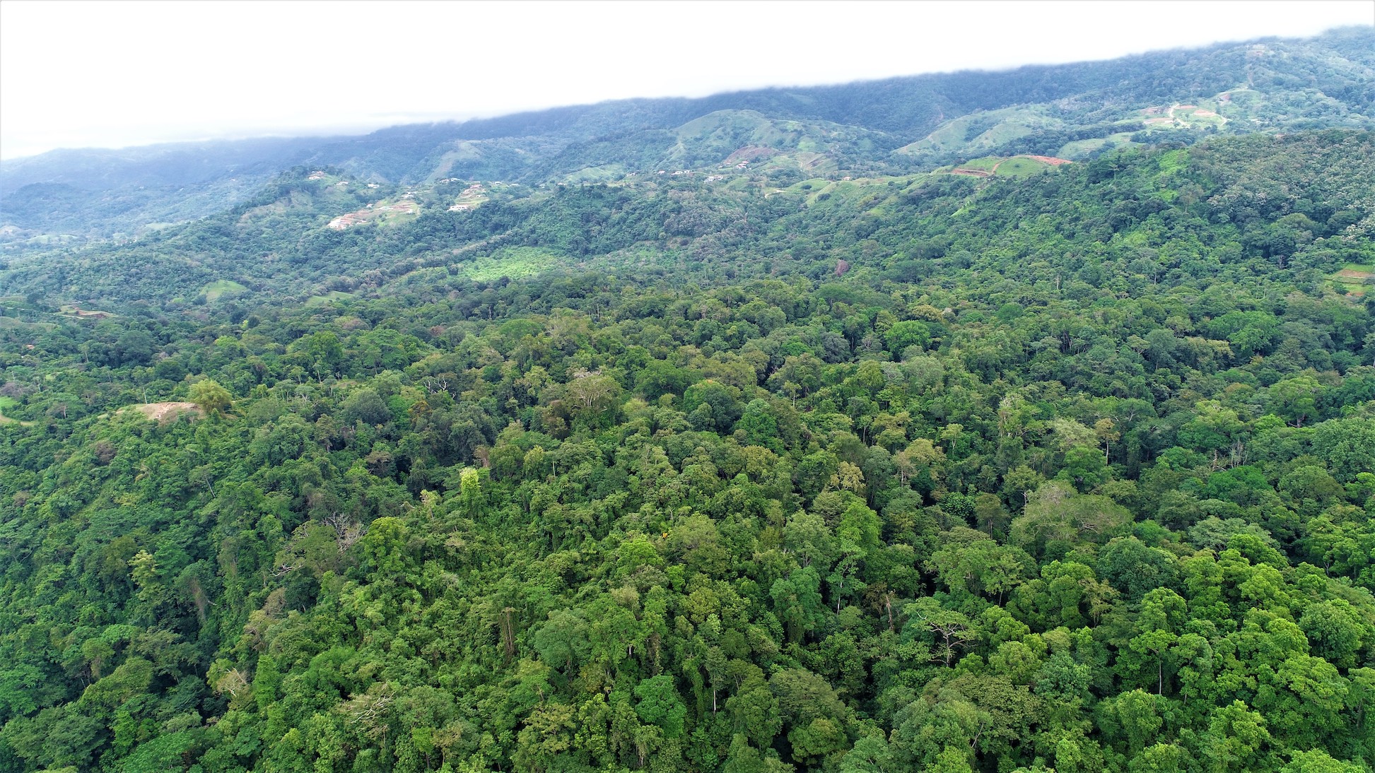 0 bed Land For Sale in Ciudad Cortes, Puntarenas - thumb 12