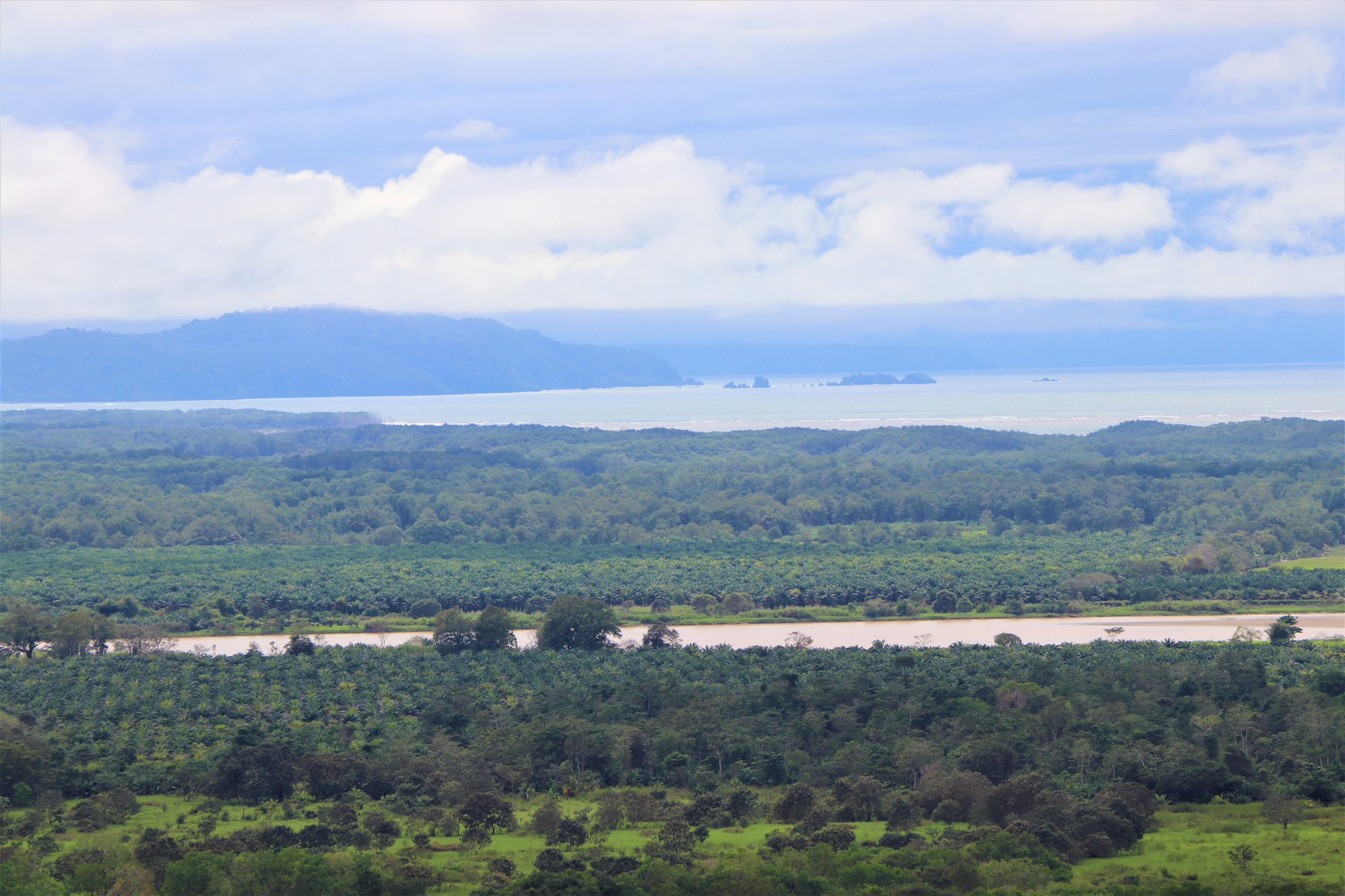 0 bed Land For Sale in Ciudad Cortes, Puntarenas - thumb 15