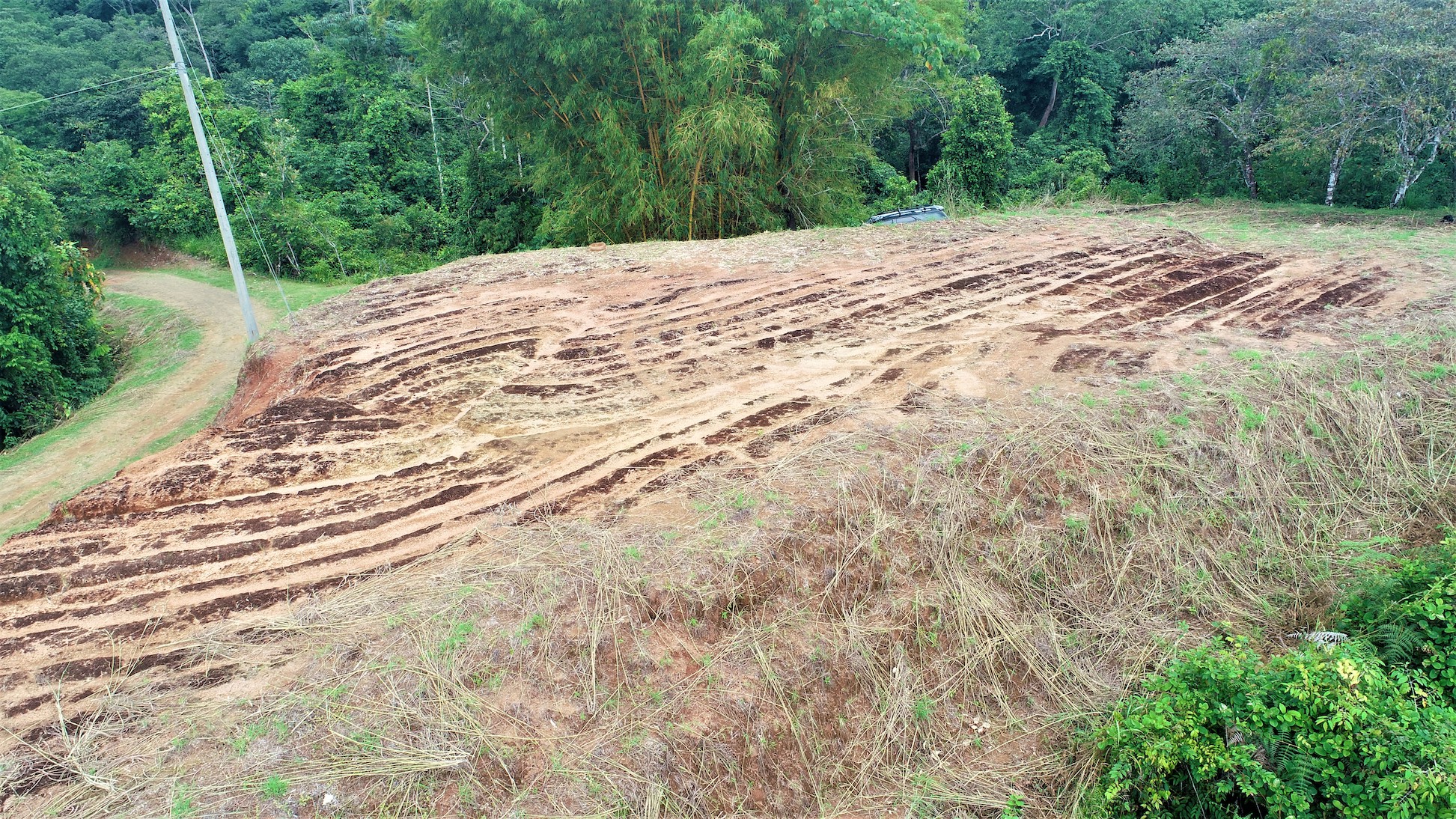 0 bed Land For Sale in Ciudad Cortes, Puntarenas - thumb 6