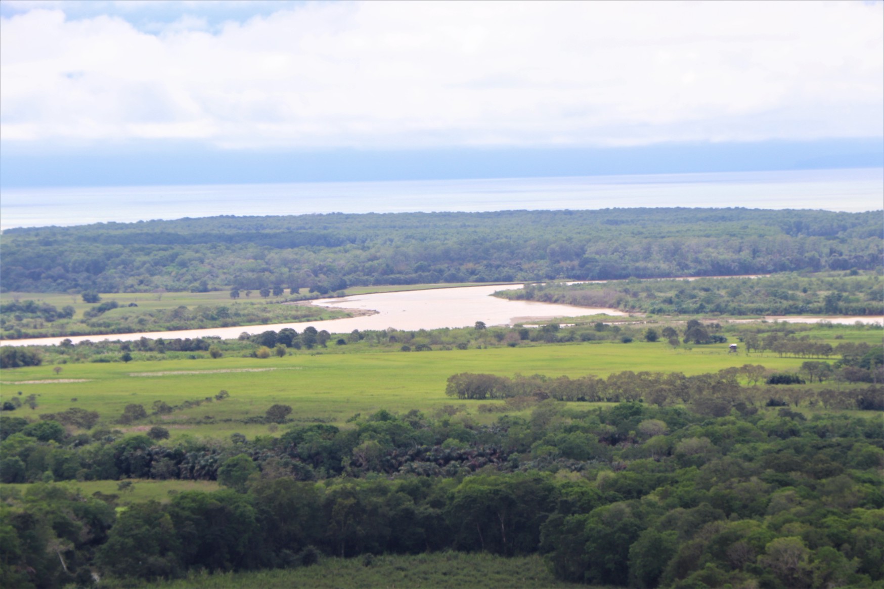 0 bed Land For Sale in Ciudad Cortes, Puntarenas - thumb 16