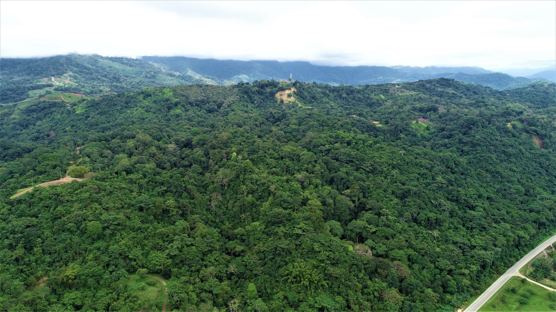 0 bed Land For Sale in Ciudad Cortes, Puntarenas - thumb 14