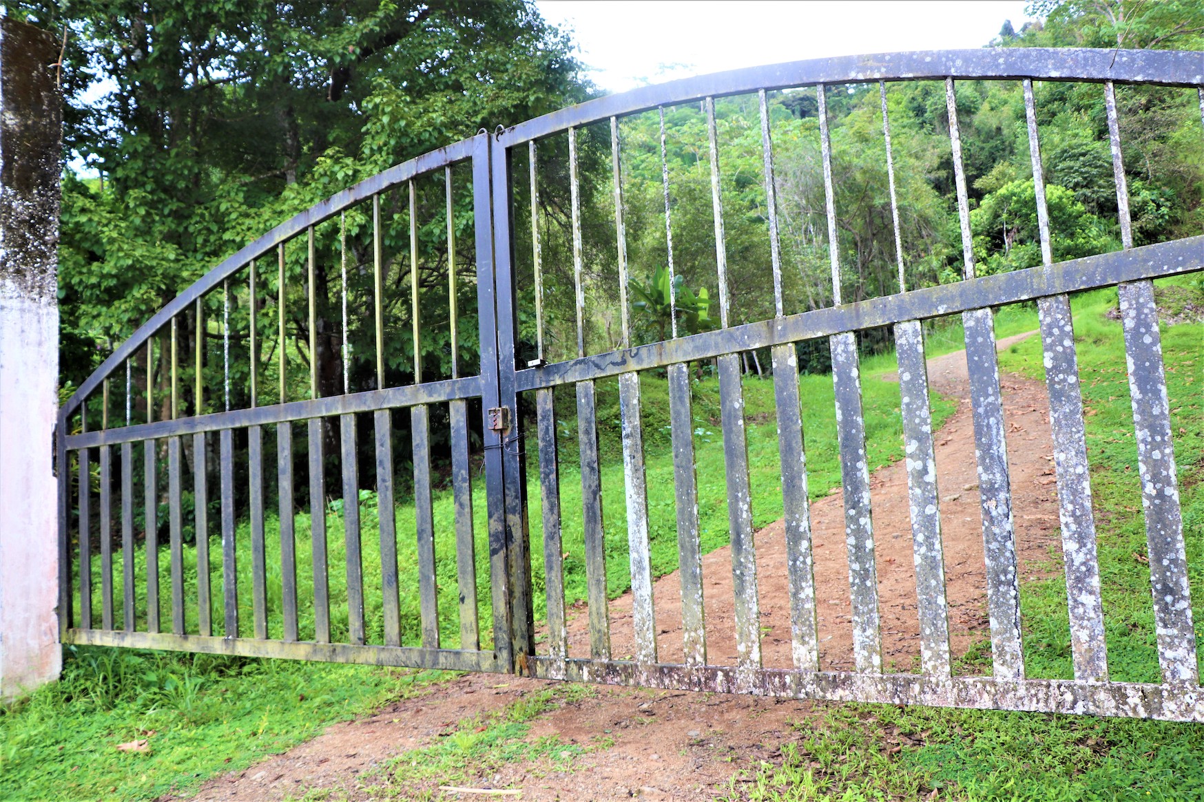 0 bed Land For Sale in Ciudad Cortes, Puntarenas - thumb 1