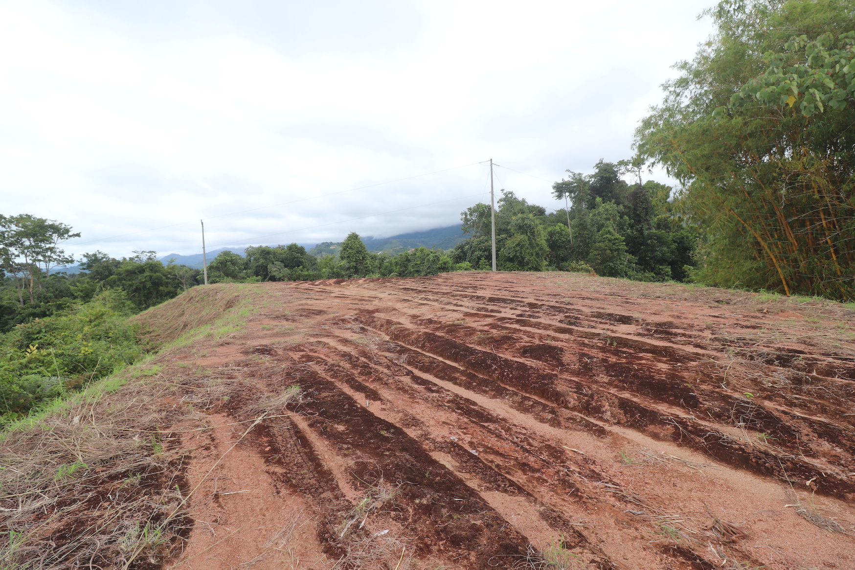 0 bed Land For Sale in Ciudad Cortes, Puntarenas - thumb 7