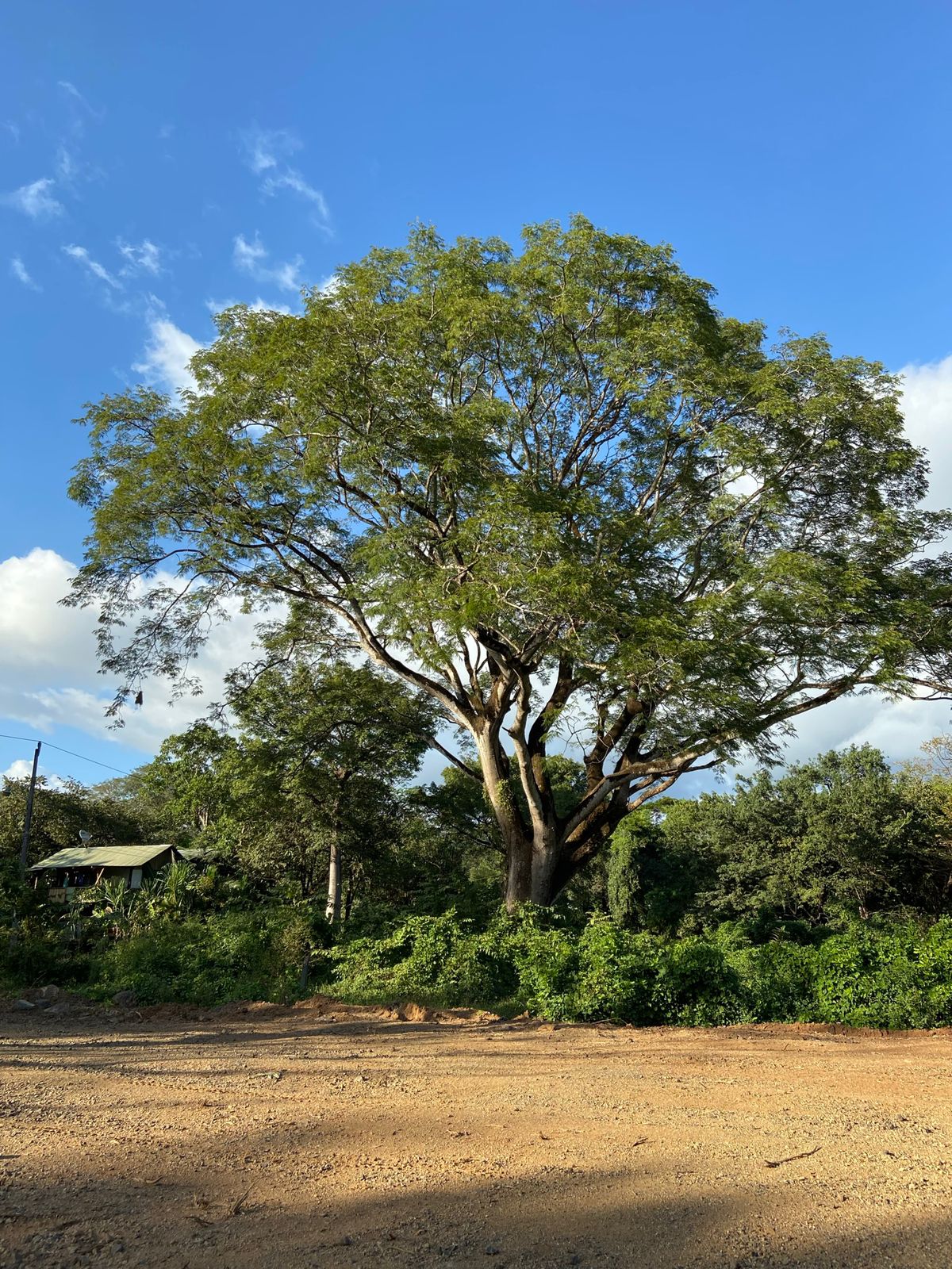 0 bed Land For Sale in Nosara, Guanacaste - thumb 8