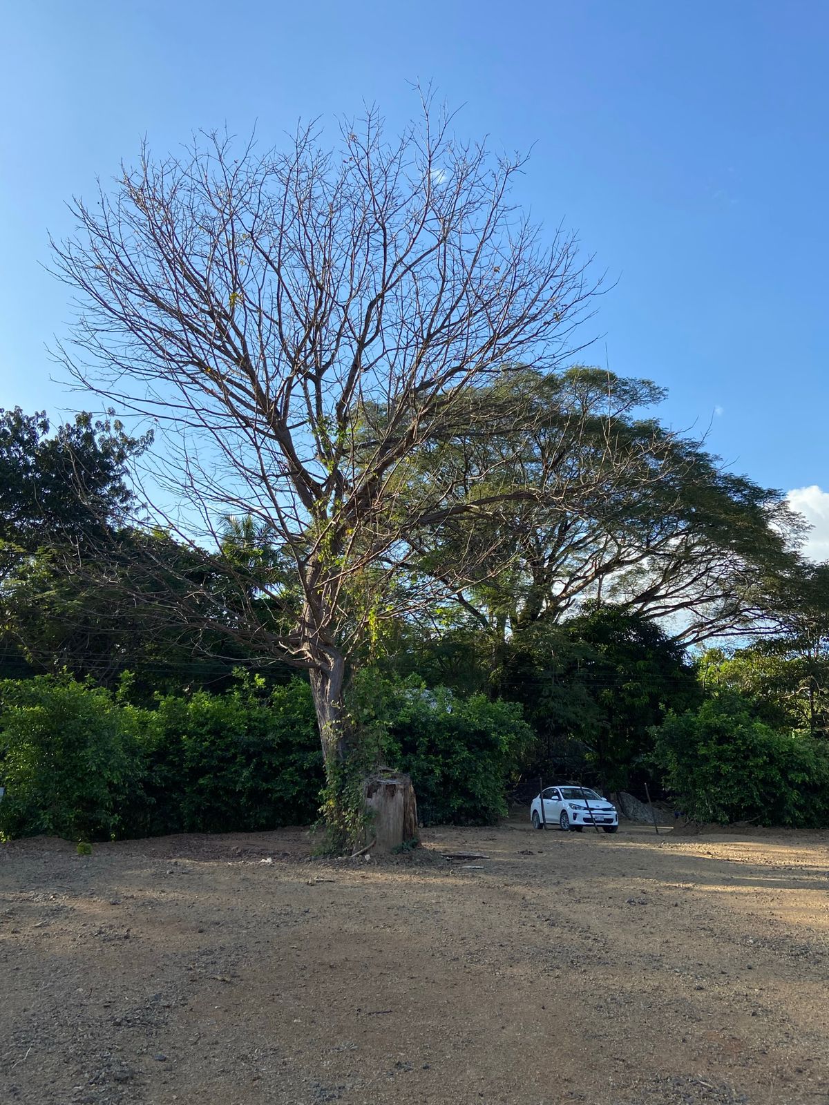 0 bed Land For Sale in Nosara, Guanacaste - thumb 1