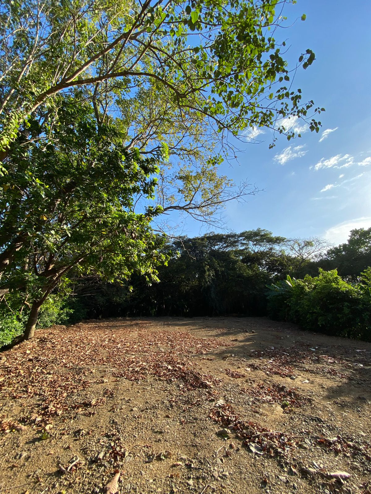 0 bed Land For Sale in Nosara, Guanacaste - thumb 9