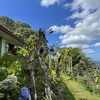  - Exotic Balinese style Home with Majestic Ocean and Mountains Views