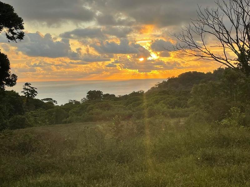 0 bed Land For Sale in Dominical, Puntarenas - 1