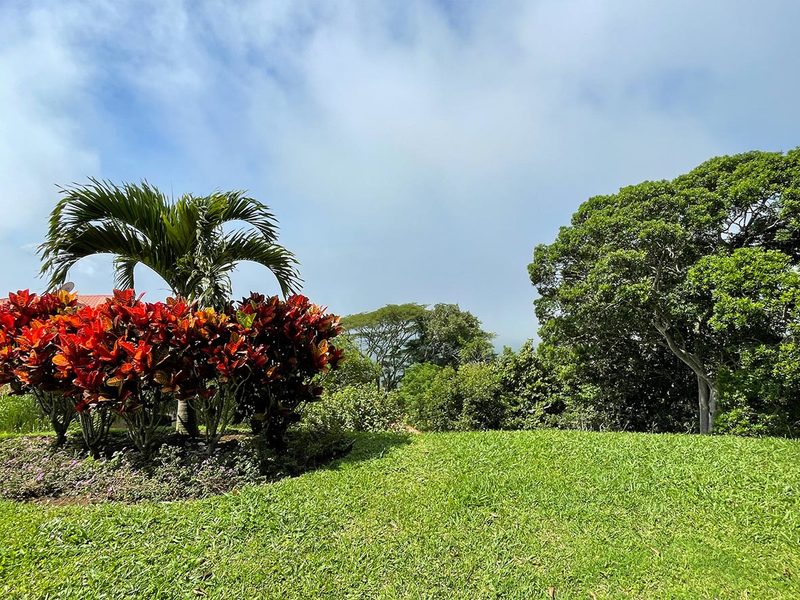 3 bed Single Family Homes For Rent in Atenas, Alajuela - thumb 10