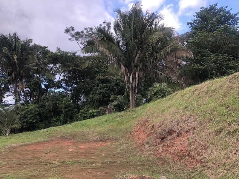 0 bed Land For Sale in Samara, Guanacaste - thumb 11