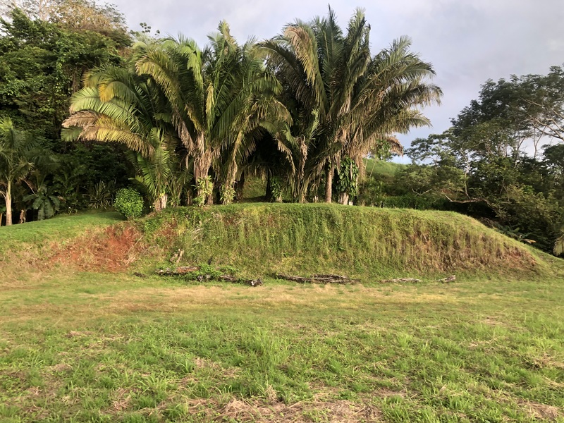 0 bed Land For Sale in Samara, Guanacaste - thumb 5