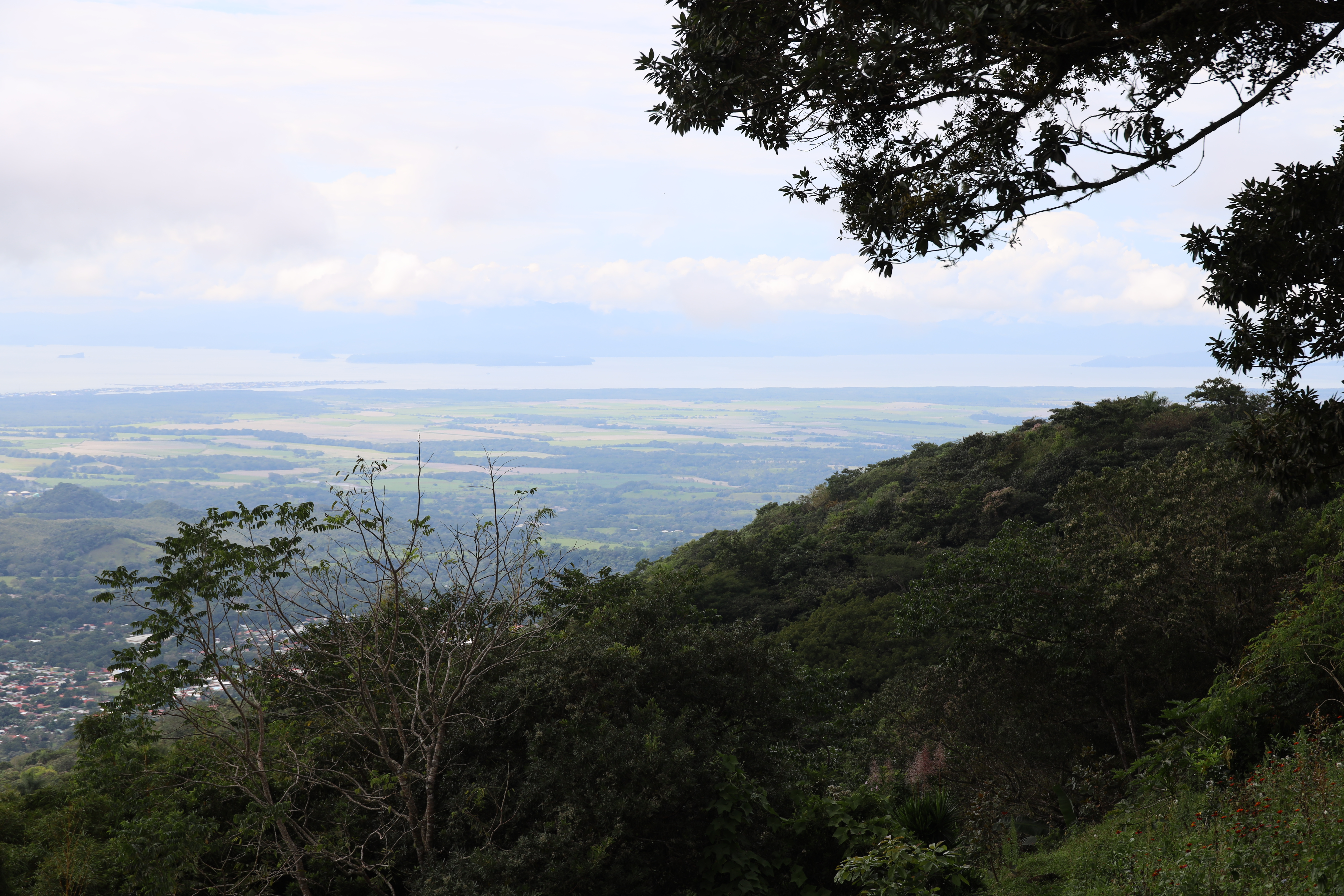 0 bed Land For Sale in San Isidro de El General, Puntarenas - thumb 27