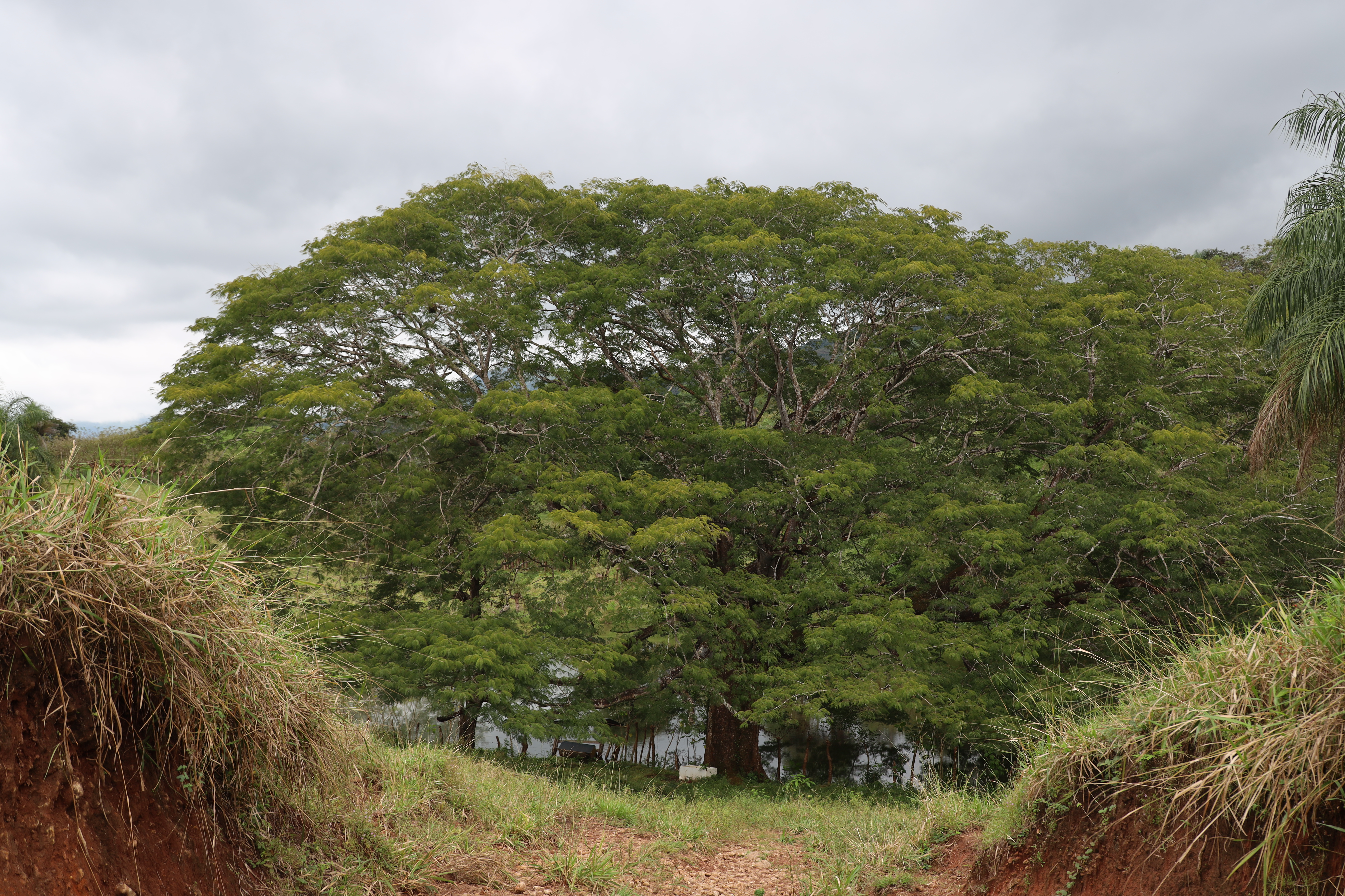 0 bed Land For Sale in San Isidro de El General, Puntarenas - thumb 8