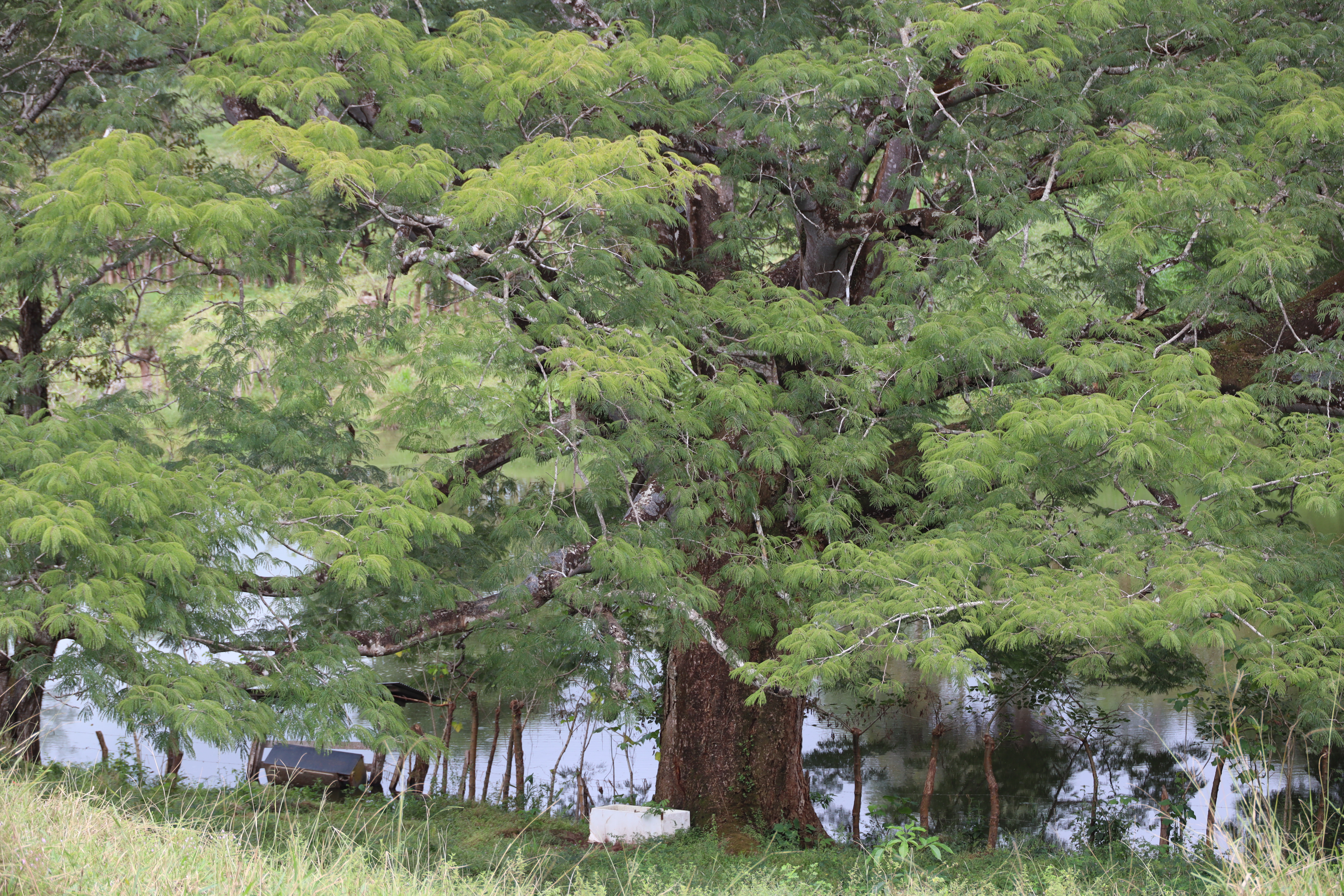 0 bed Land For Sale in San Isidro de El General, Puntarenas - thumb 10