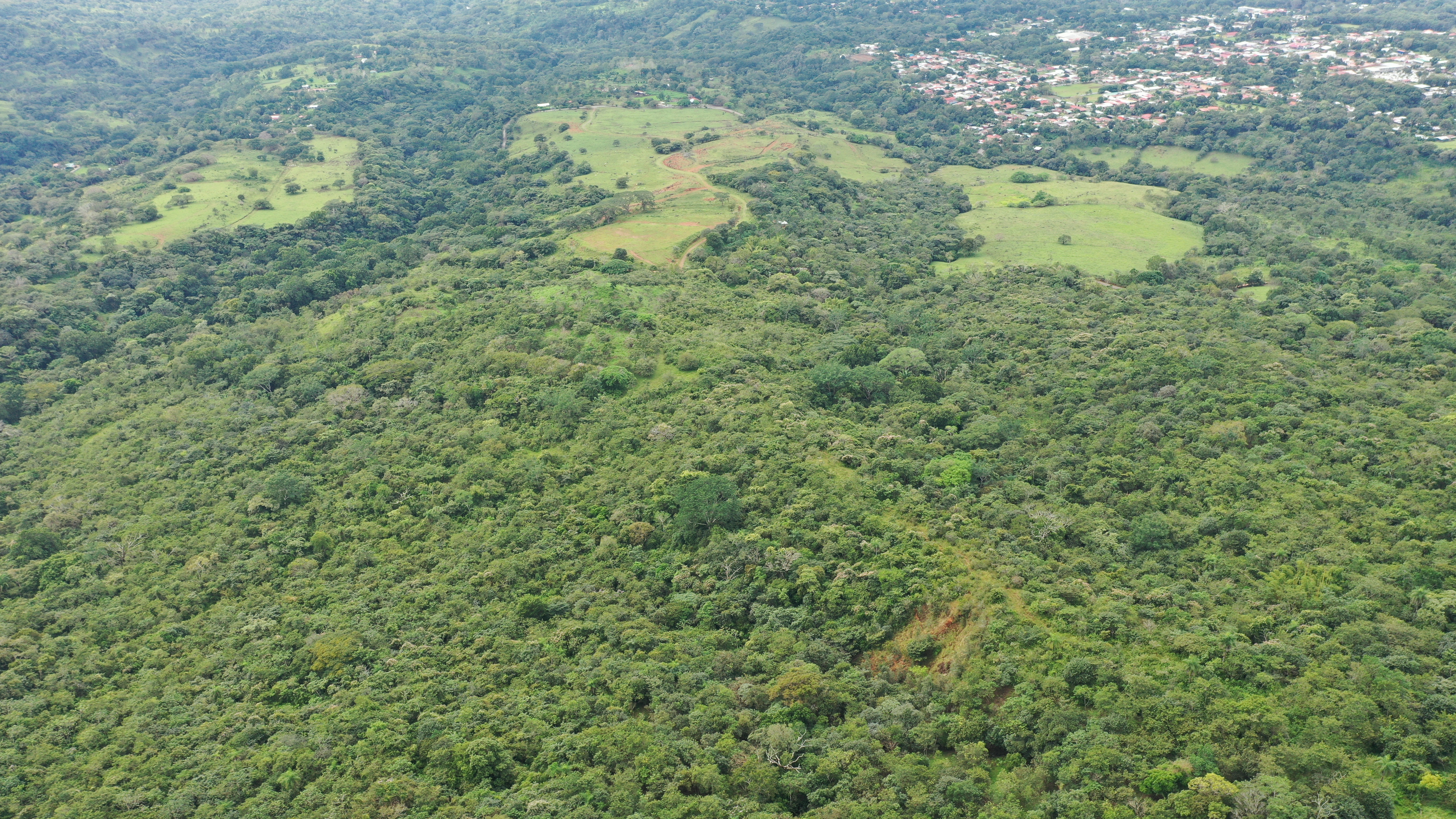 0 bed Land For Sale in San Isidro de El General, Puntarenas - thumb 4