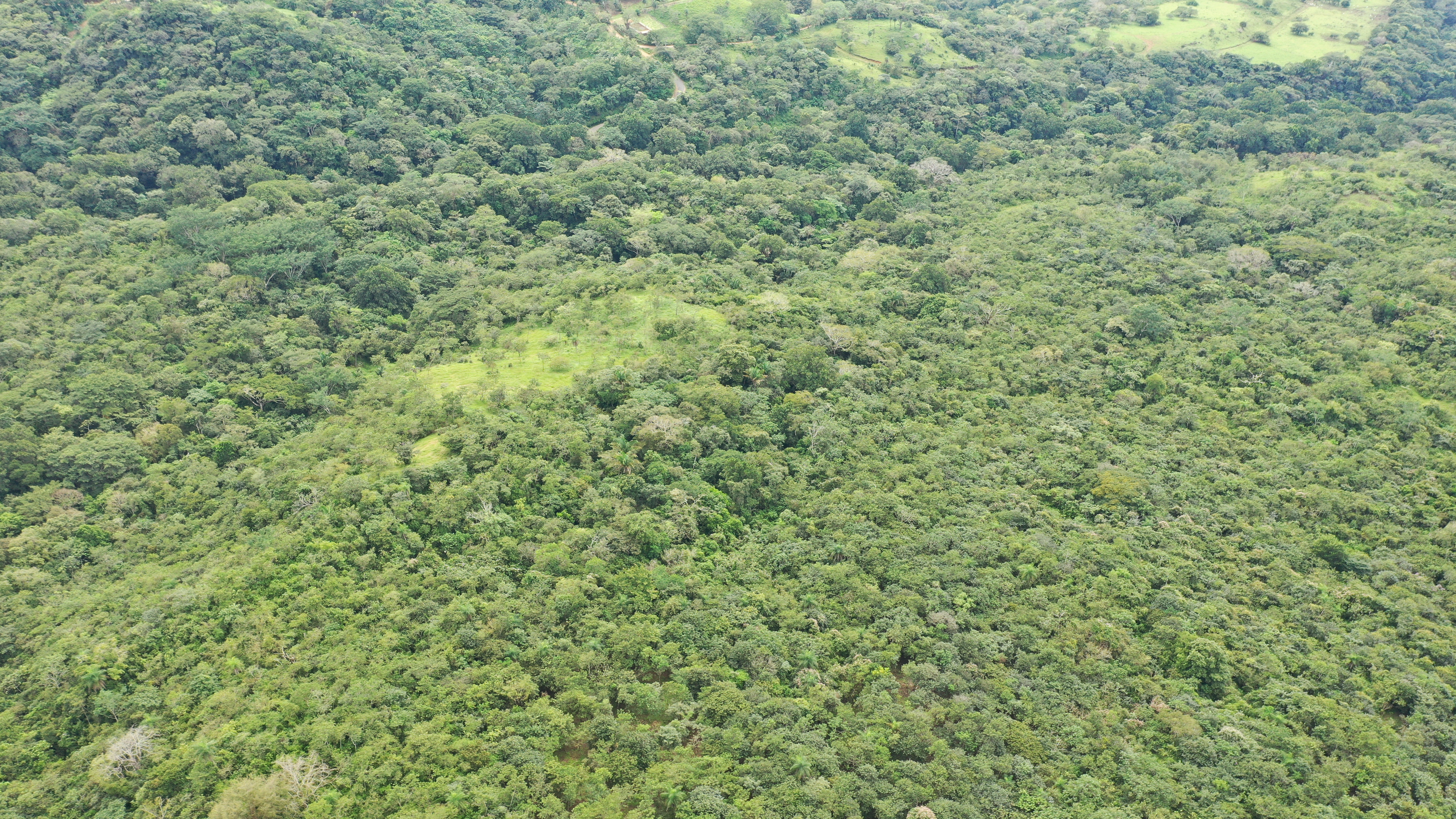 0 bed Land For Sale in San Isidro de El General, Puntarenas - thumb 2