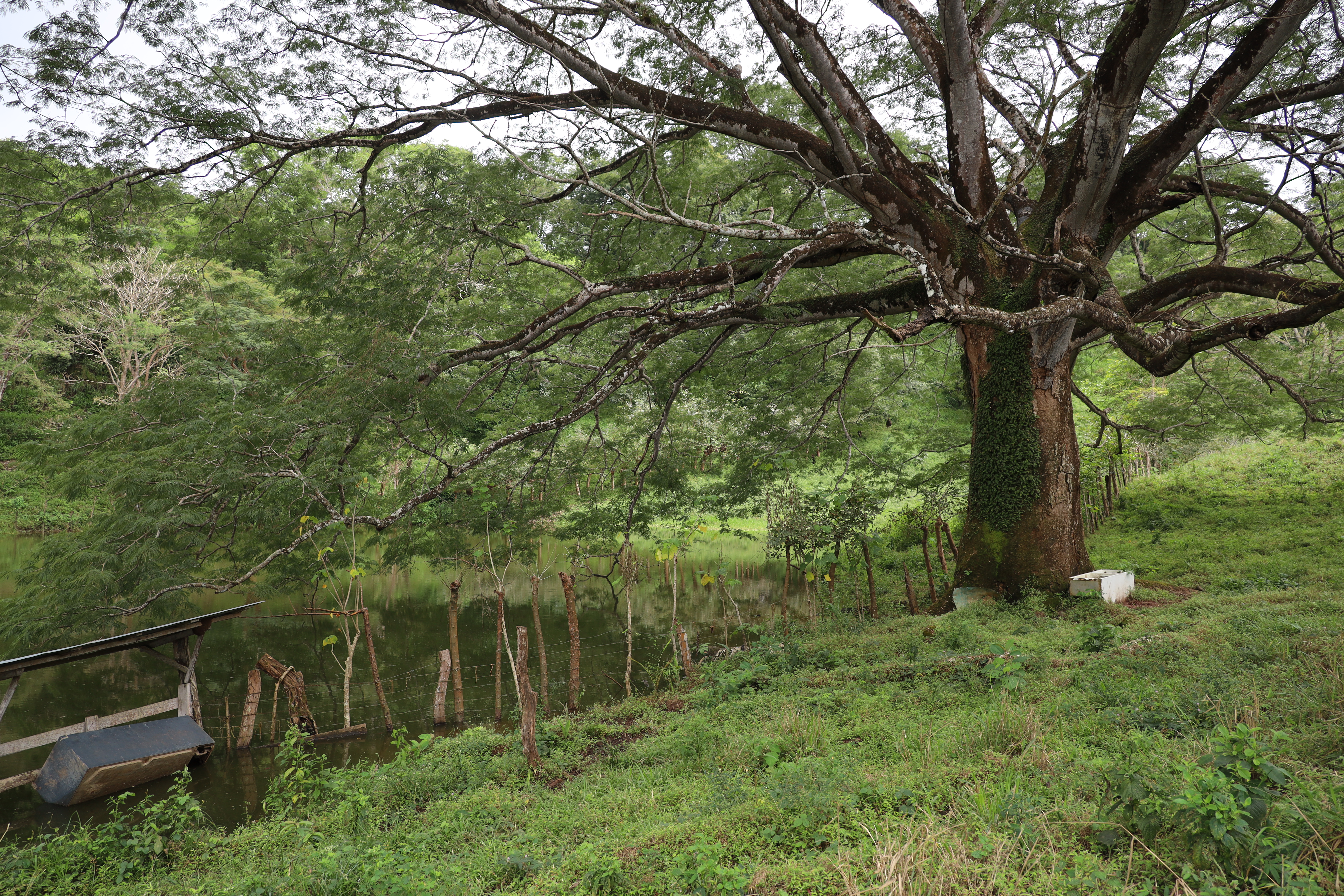 0 bed Land For Sale in San Isidro de El General, Puntarenas - thumb 11