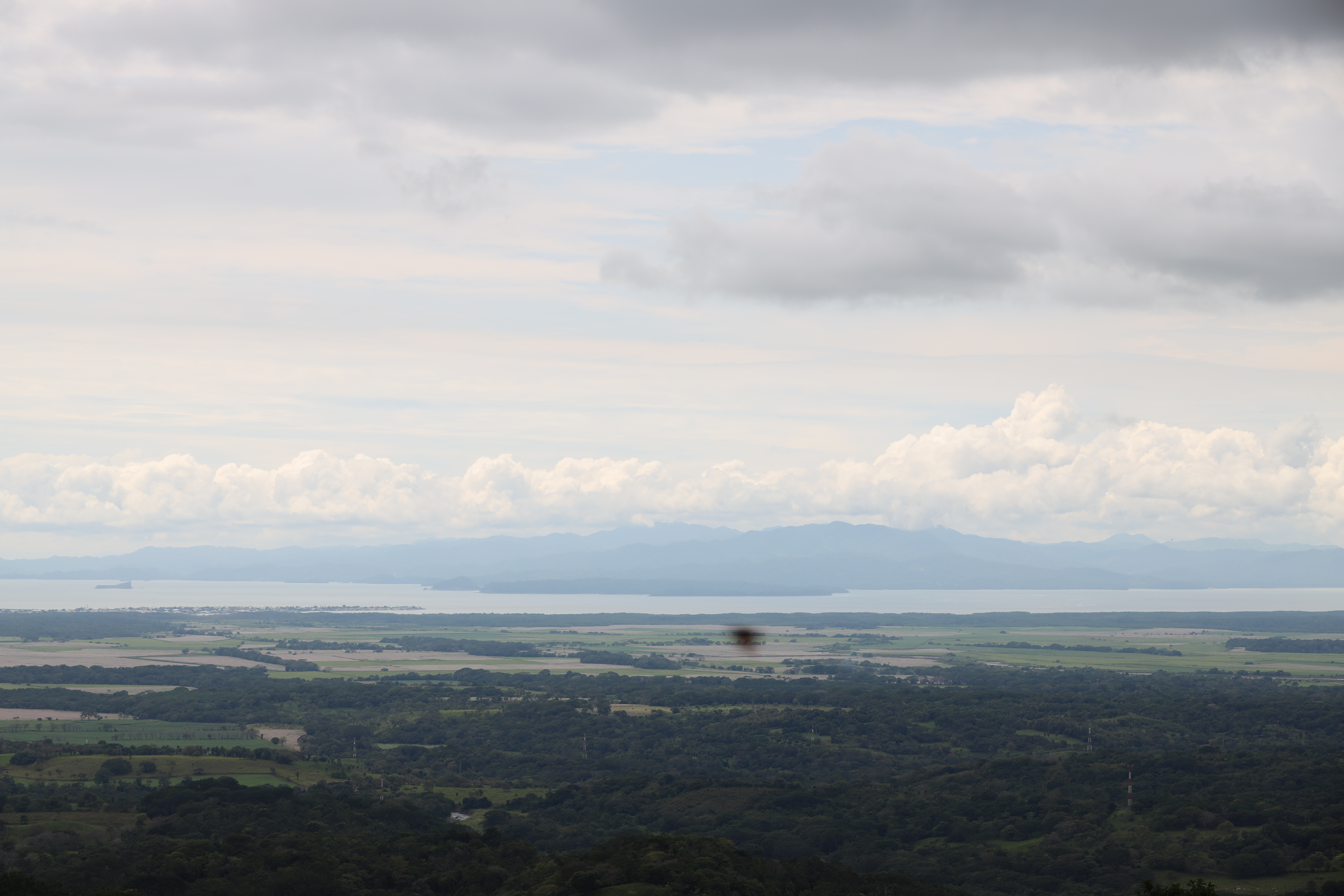 0 bed Land For Sale in San Isidro de El General, Puntarenas - thumb 17