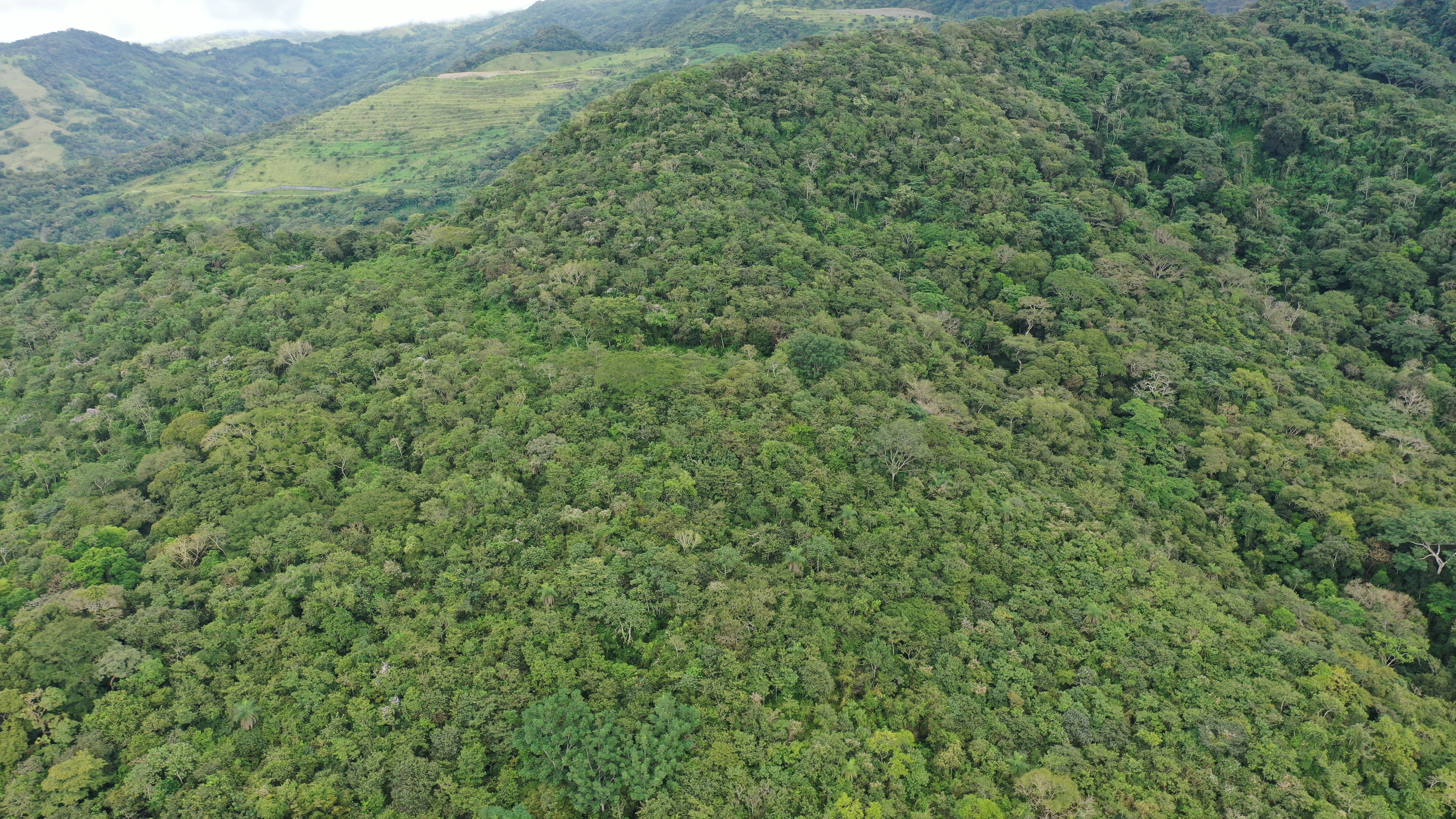 0 bed Land For Sale in San Isidro de El General, Puntarenas - thumb 6