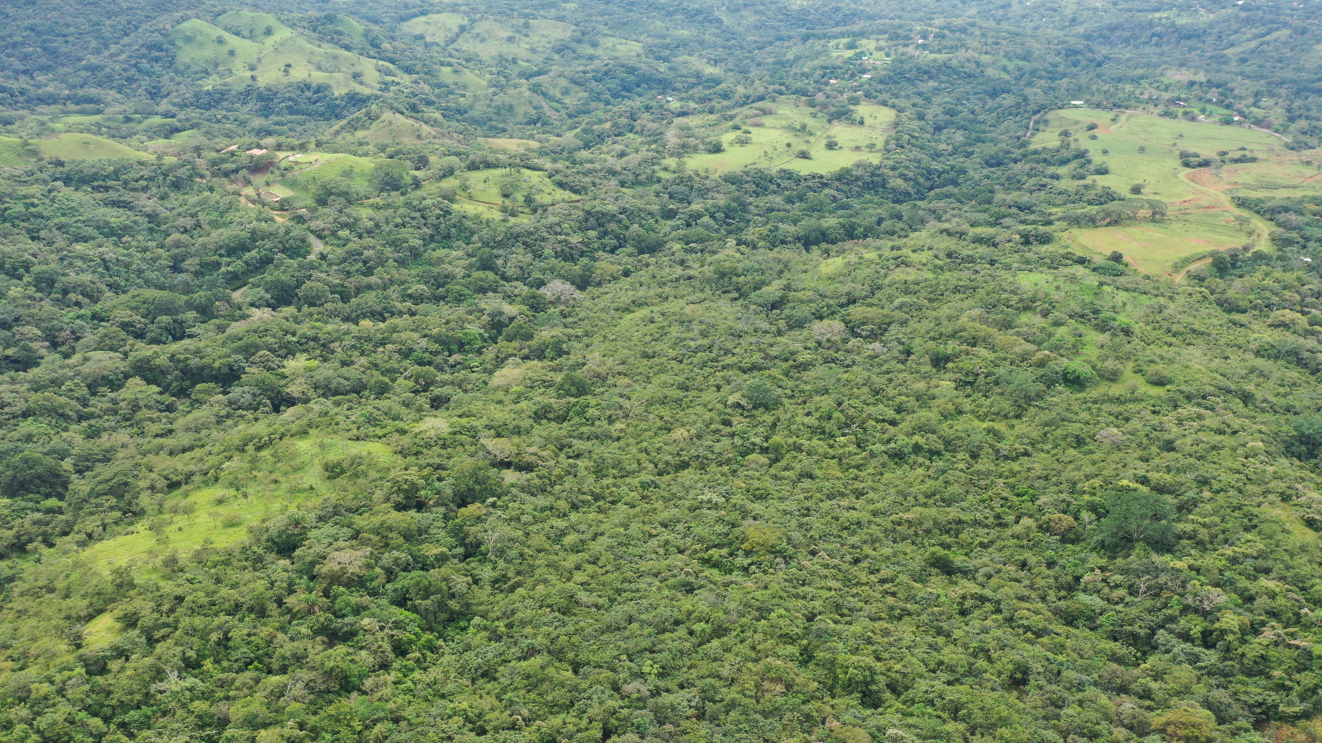 0 bed Land For Sale in San Isidro de El General, Puntarenas - thumb 3