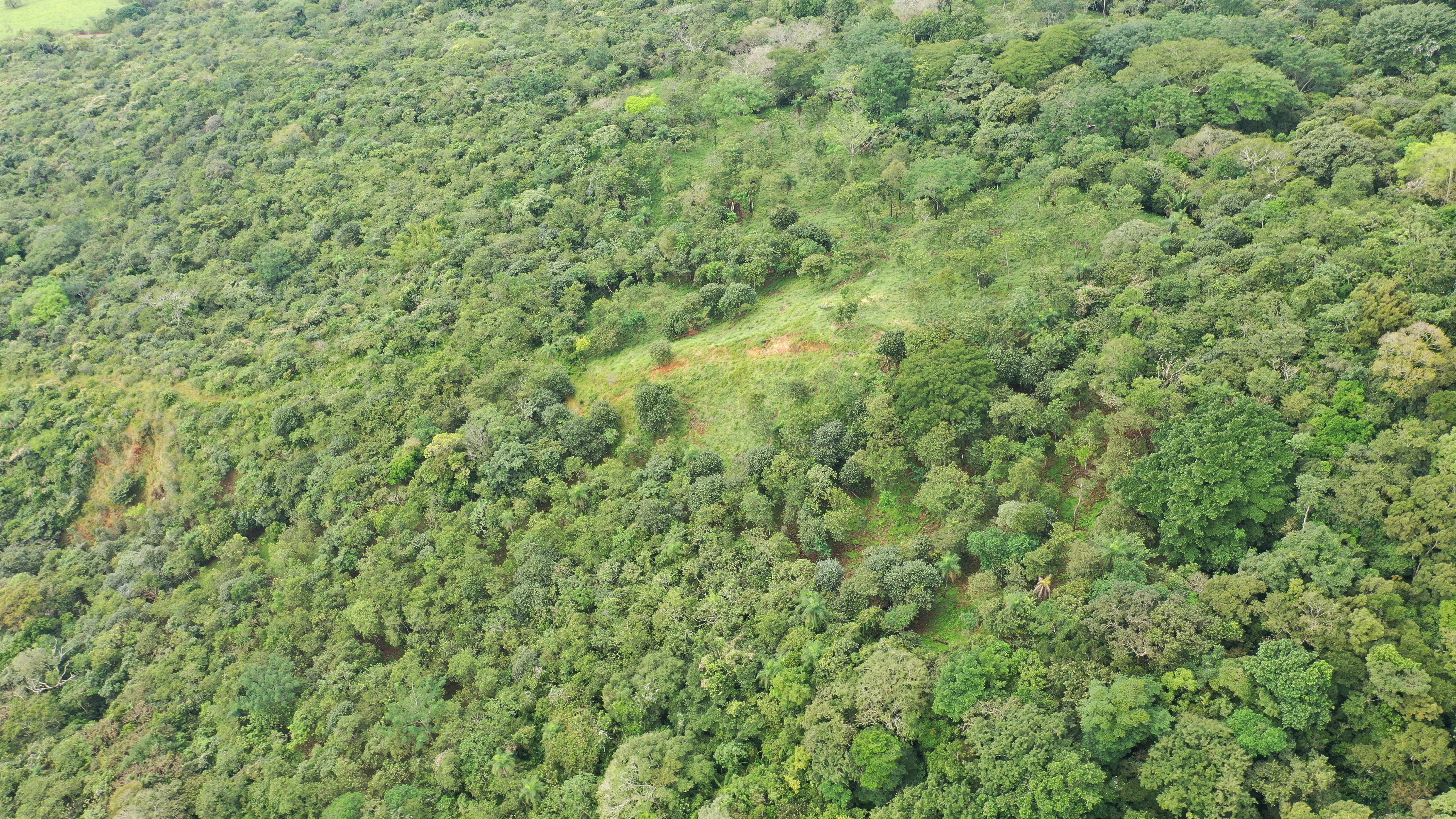 0 bed Land For Sale in San Isidro de El General, Puntarenas - thumb 5