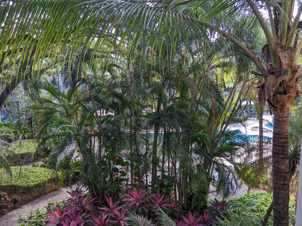 3 bed Condo For Sale in Playas Del Coco, Guanacaste - thumb 15