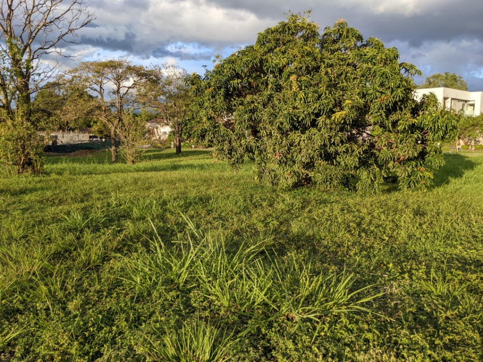 0 bed Land For Sale in Santa Ana, San Jose - thumb 6