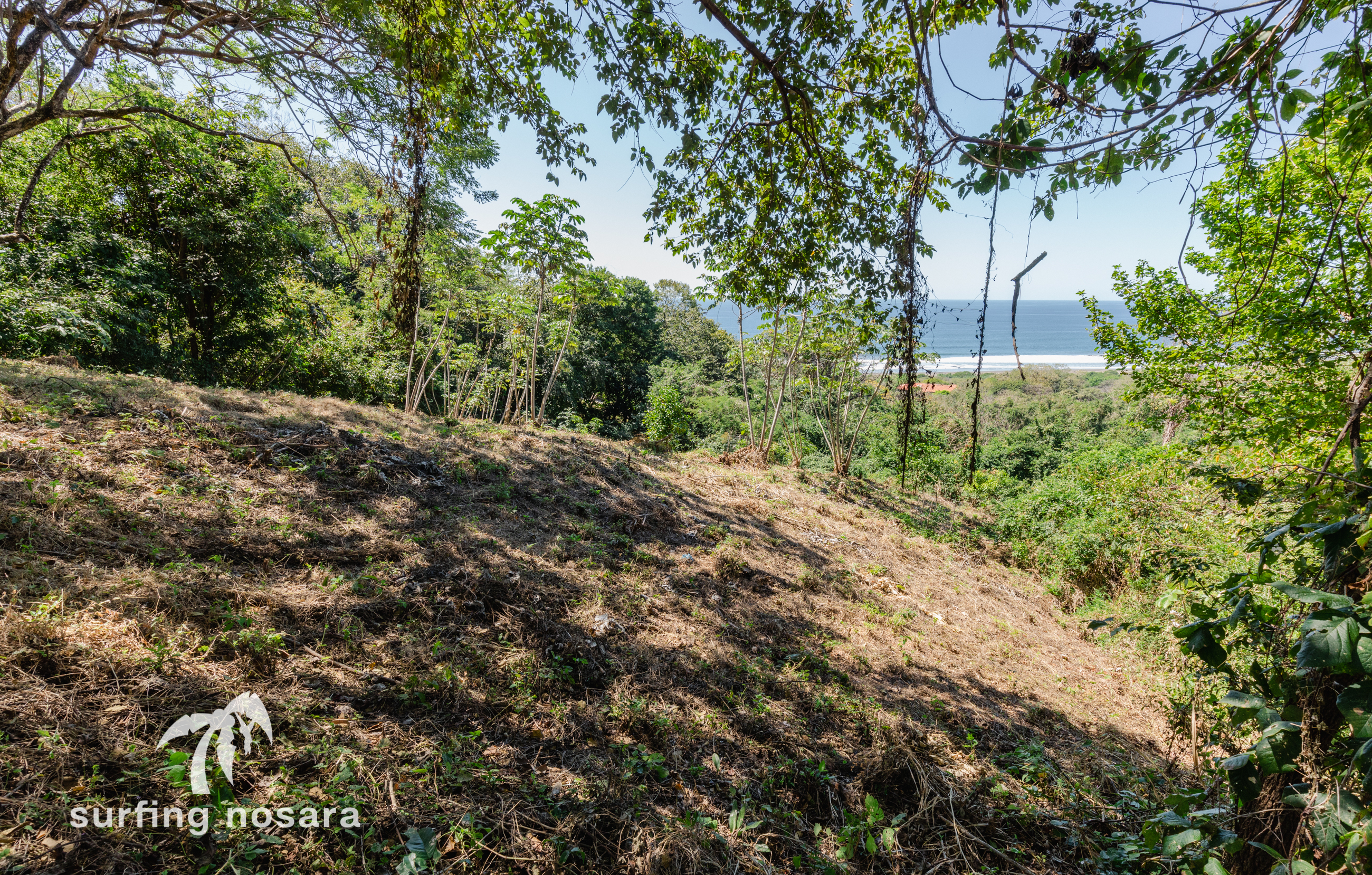 0 bed Land For Sale in Nosara, Guanacaste - thumb 3