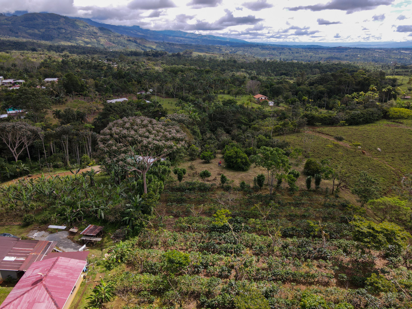 0 bed Land For Sale in Perez Zeledon, San Jose - thumb 9