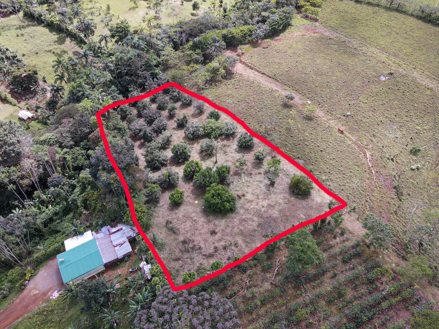 0 bed Land For Sale in Perez Zeledon, San Jose - thumb 2