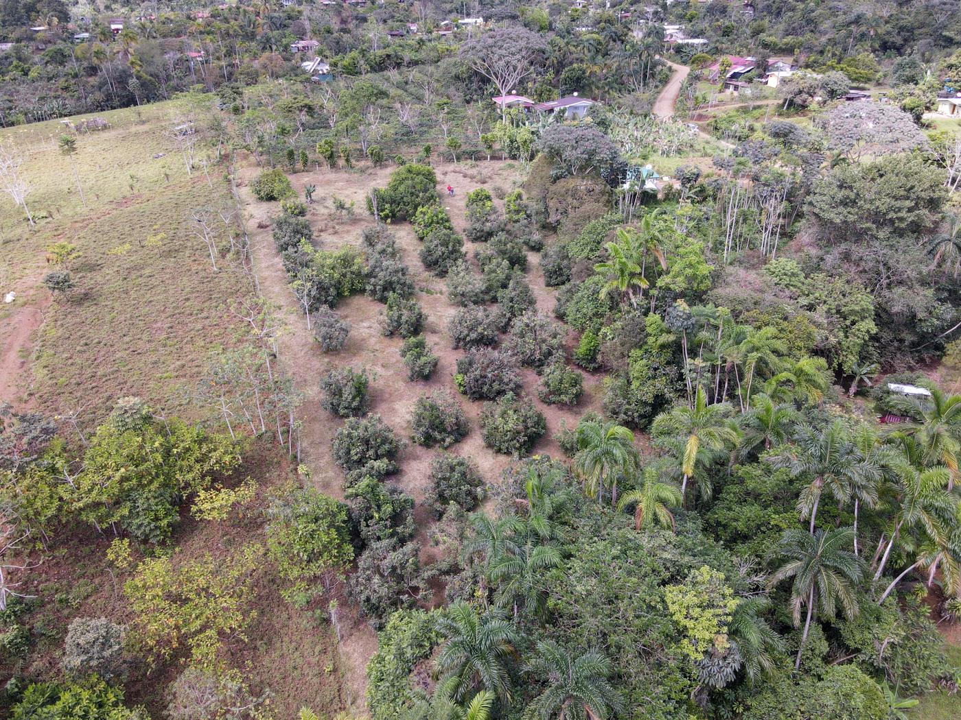 0 bed Land For Sale in Perez Zeledon, San Jose - thumb 18
