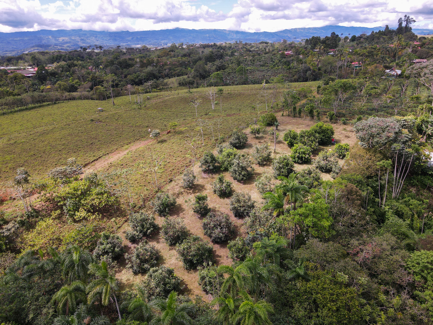 0 bed Land For Sale in Perez Zeledon, San Jose - thumb 12