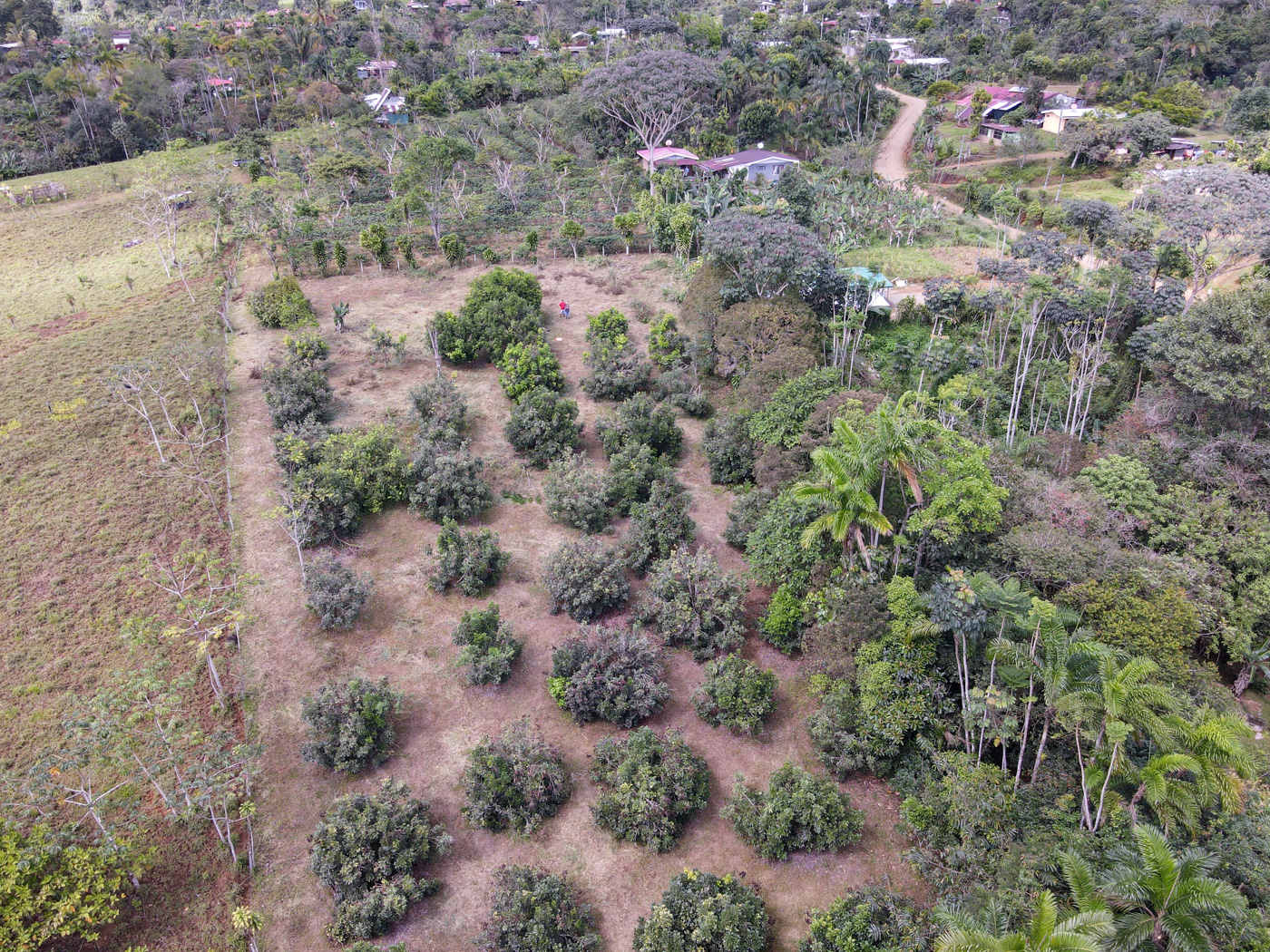 0 bed Land For Sale in Perez Zeledon, San Jose - thumb 17